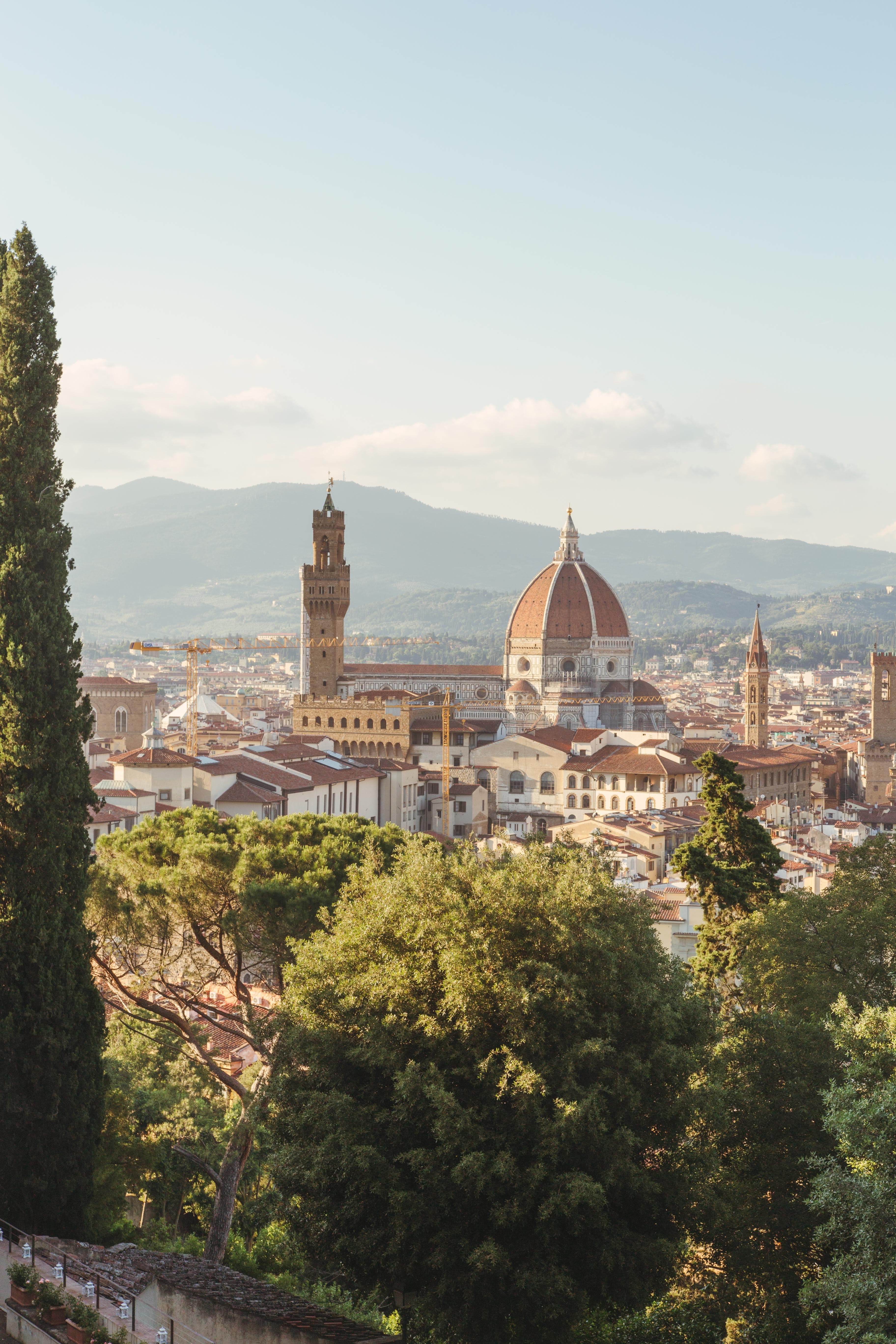 Trees and city with mountains in background during daytime