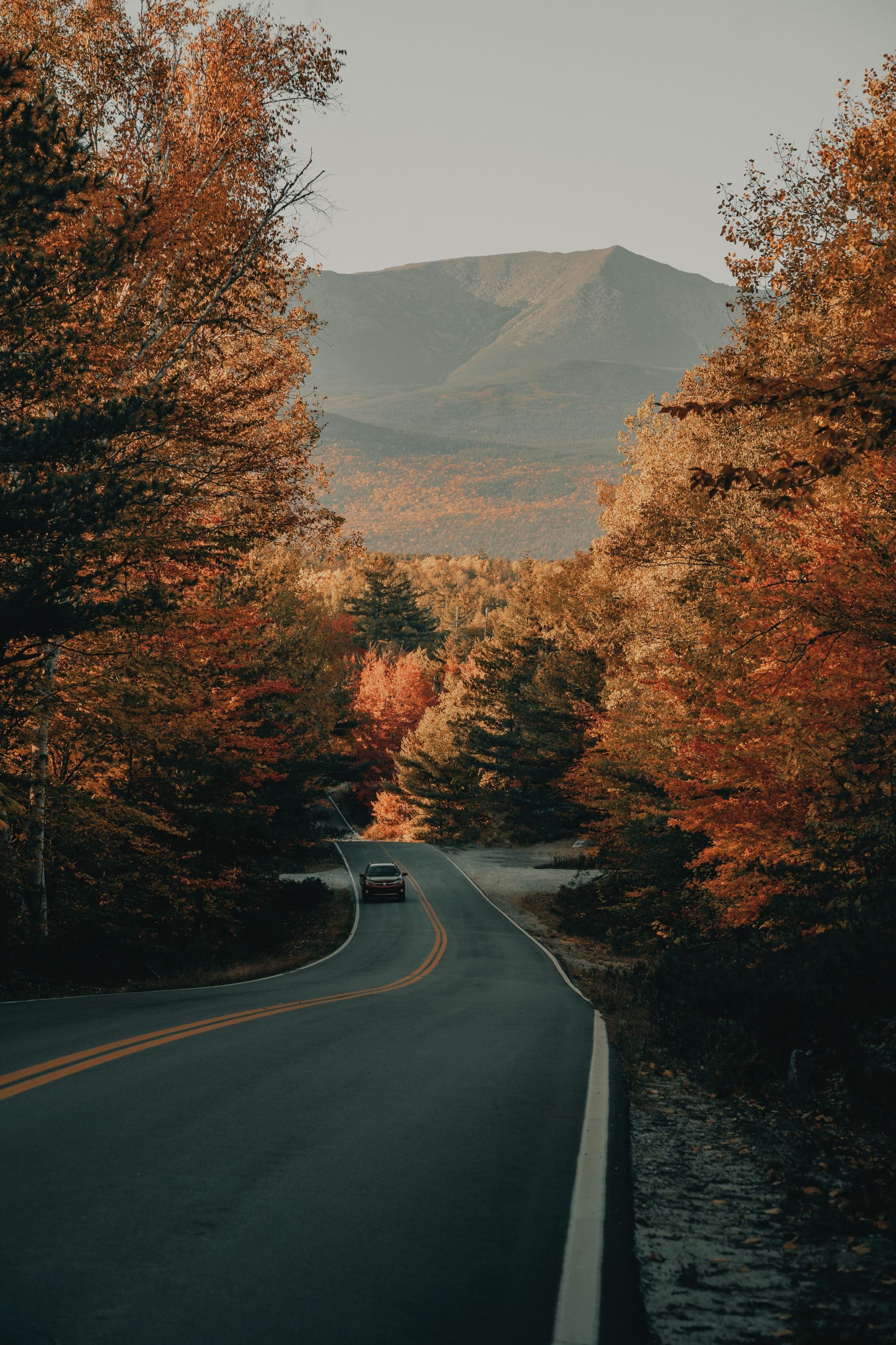 road through fall foliage