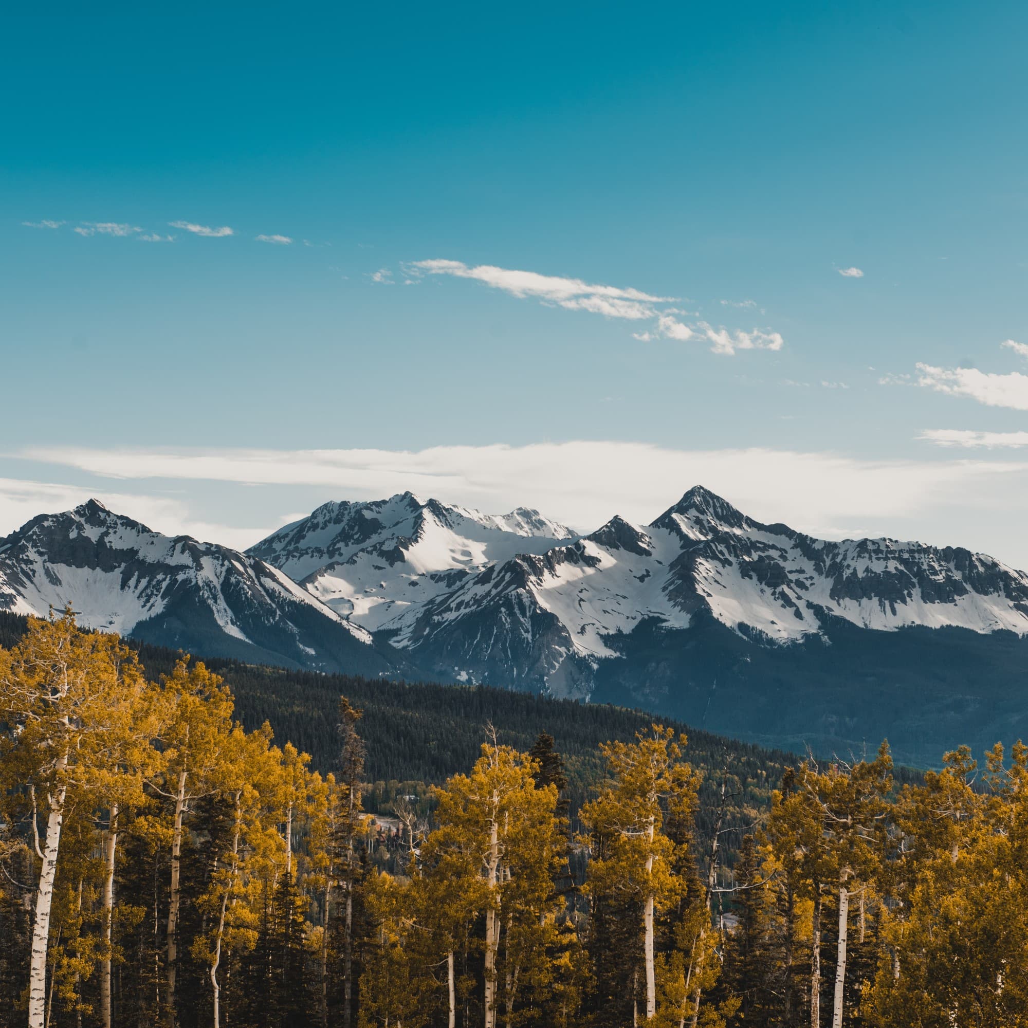 Snow covered mountains with trees in the front.