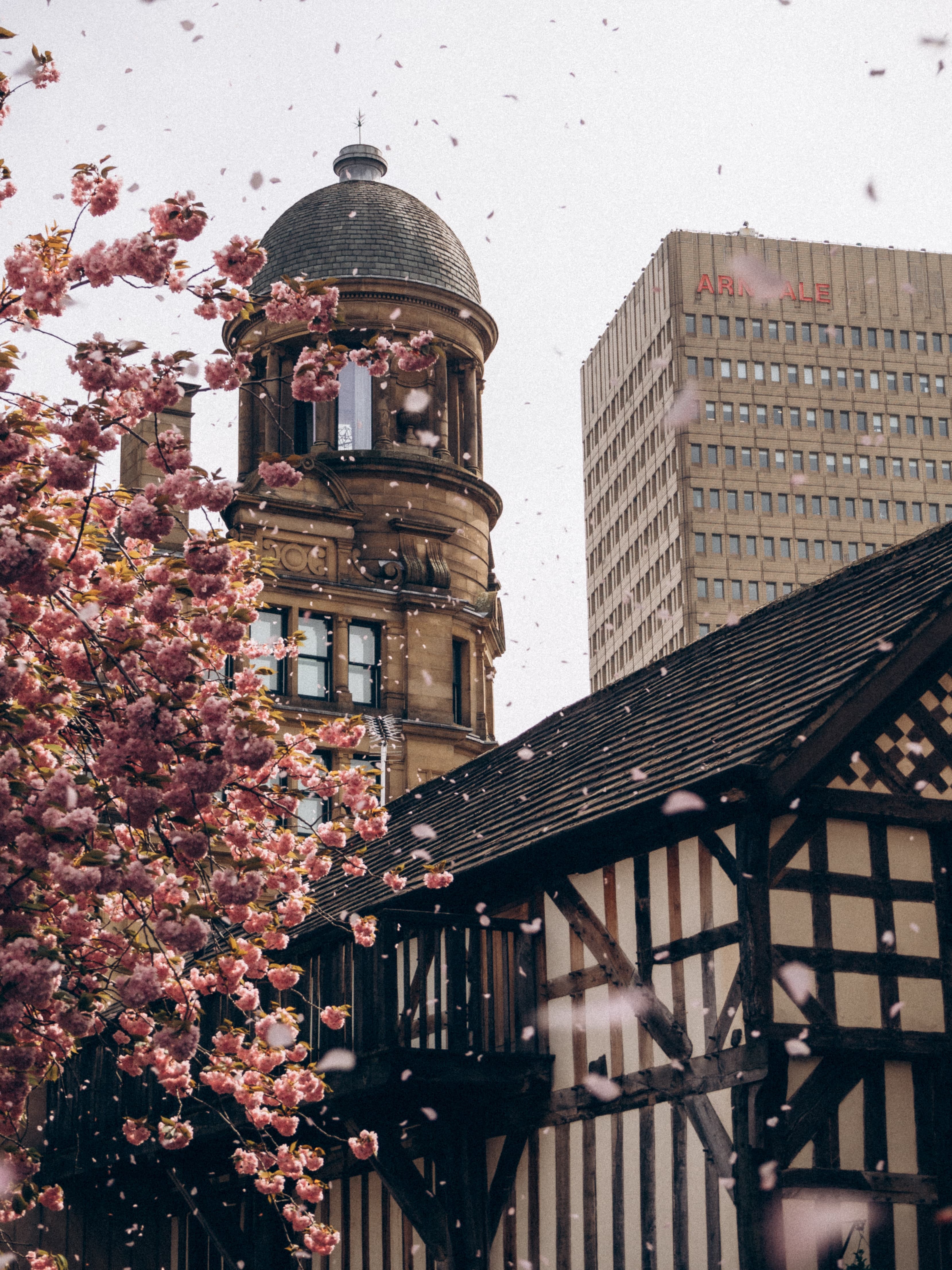 building in Chetham Manchester front flowers