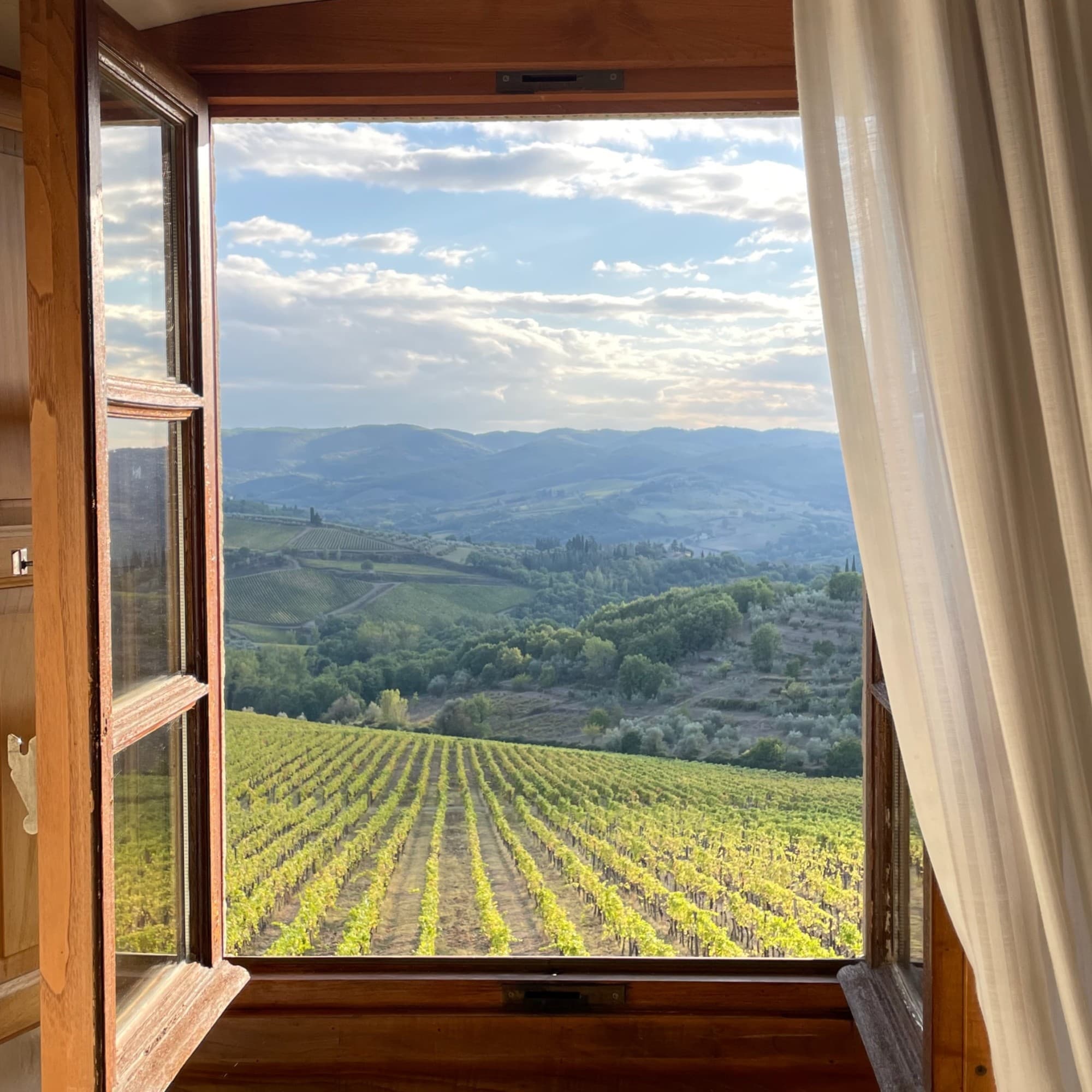 Green landscape from a wooden brown window.