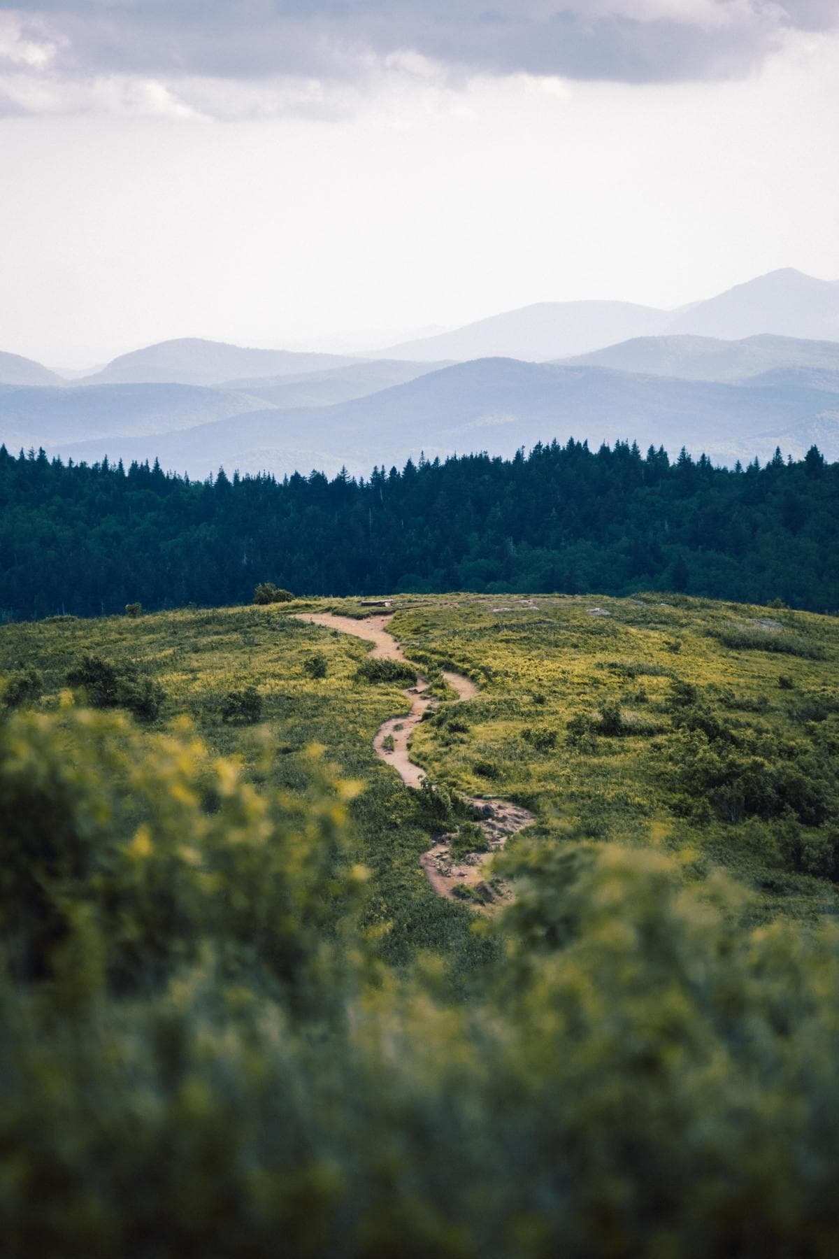 path with mountains in the background during daytime