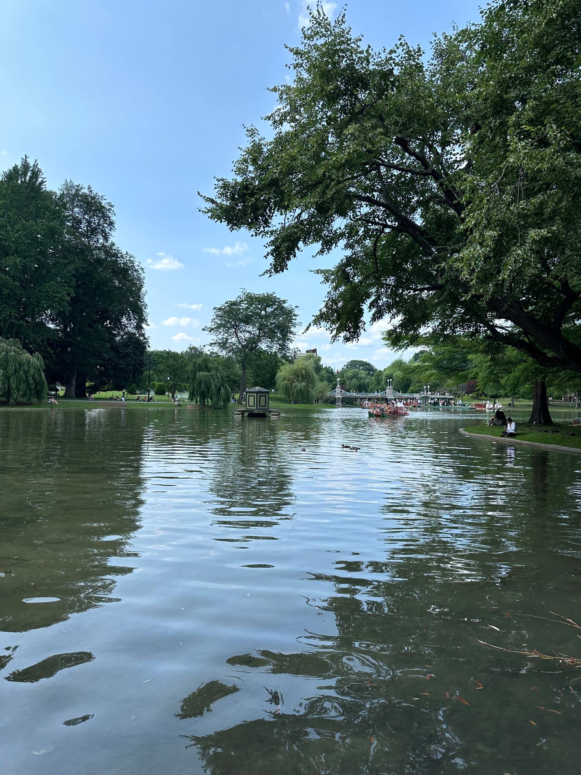 A body of water outside with green trees and a clear, blue sky above