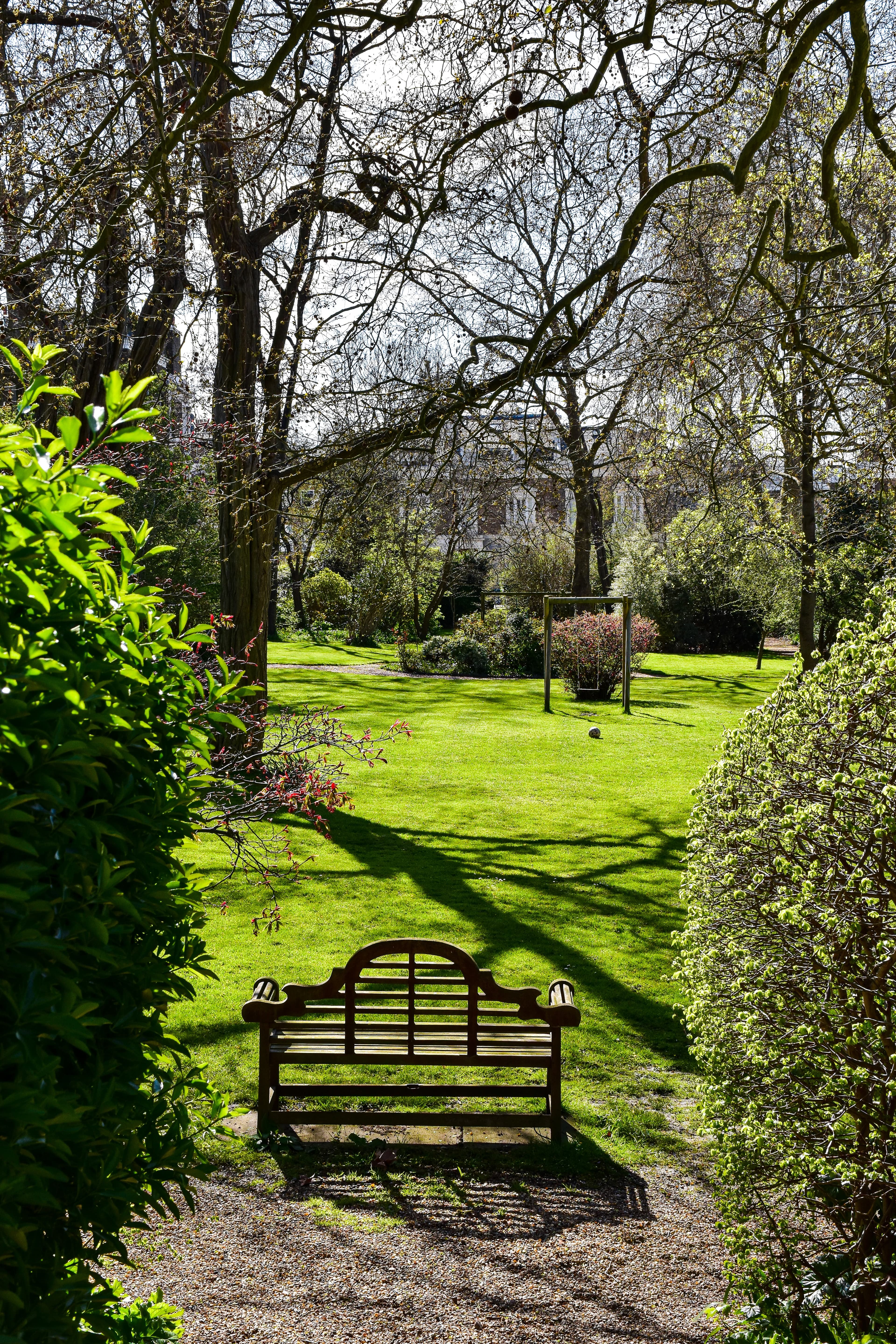 a private green garden with a small bench