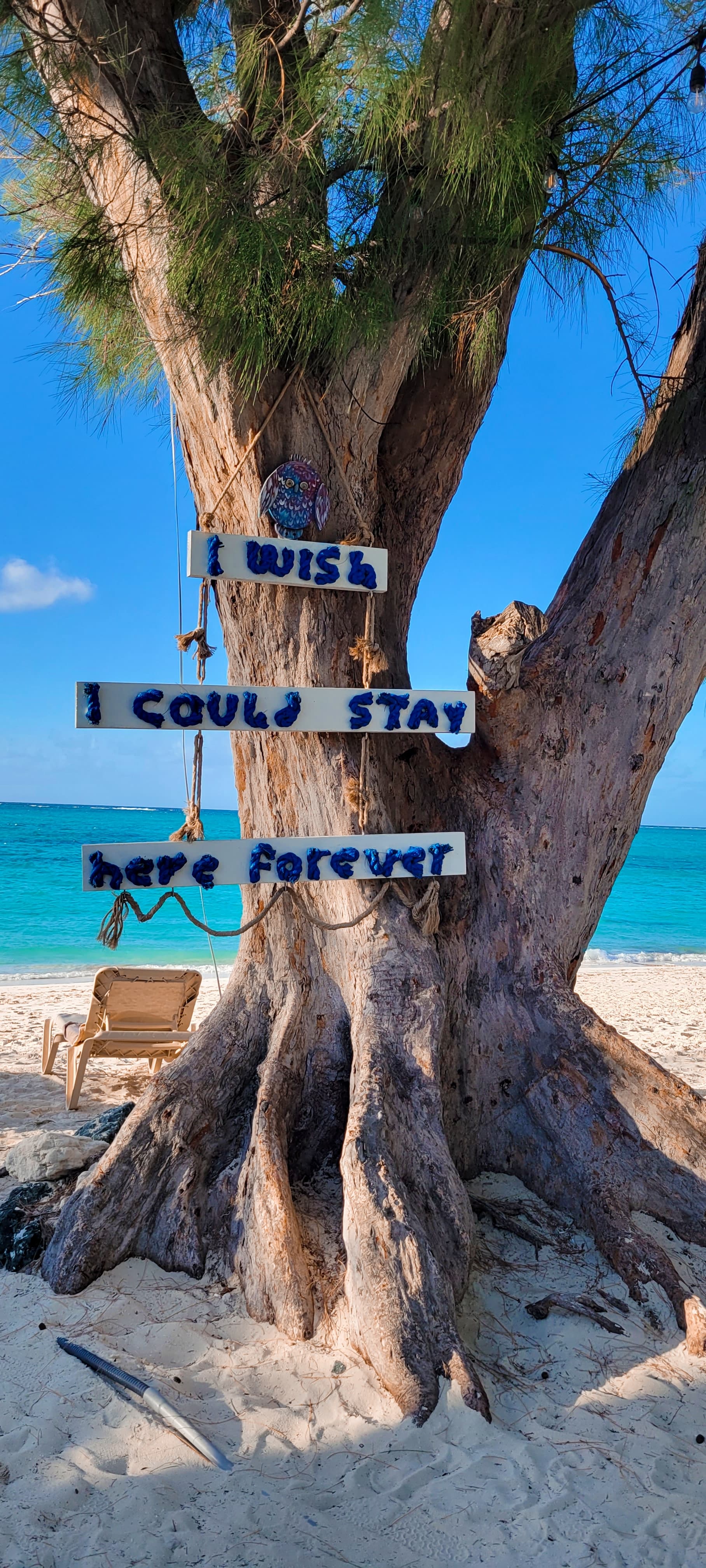 An image of a tree with signage hanging in front of in black and white that reads "I wish I could stay here forever" on the beach with the vibrant blue ocean in the background.