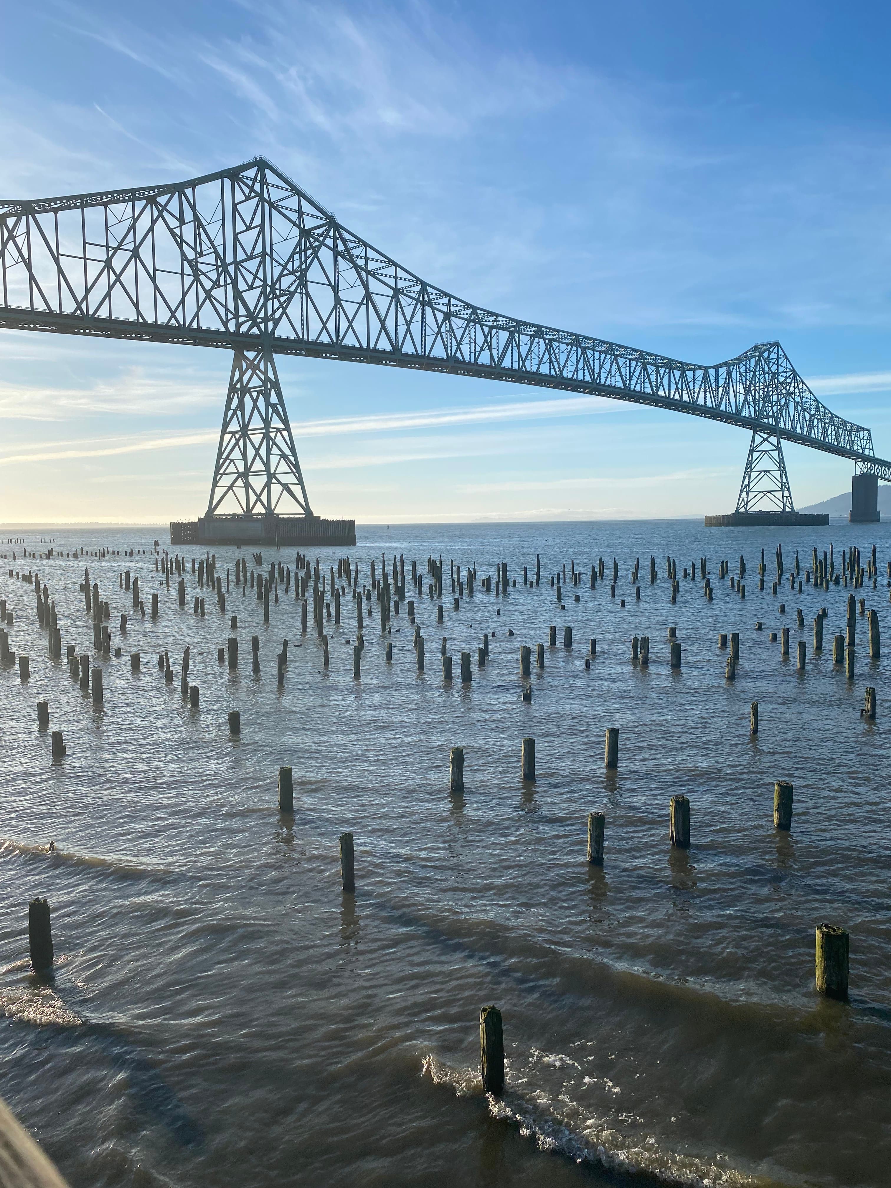 A photo of a bridge over a large body of water with wooden pillars placed inside the water.