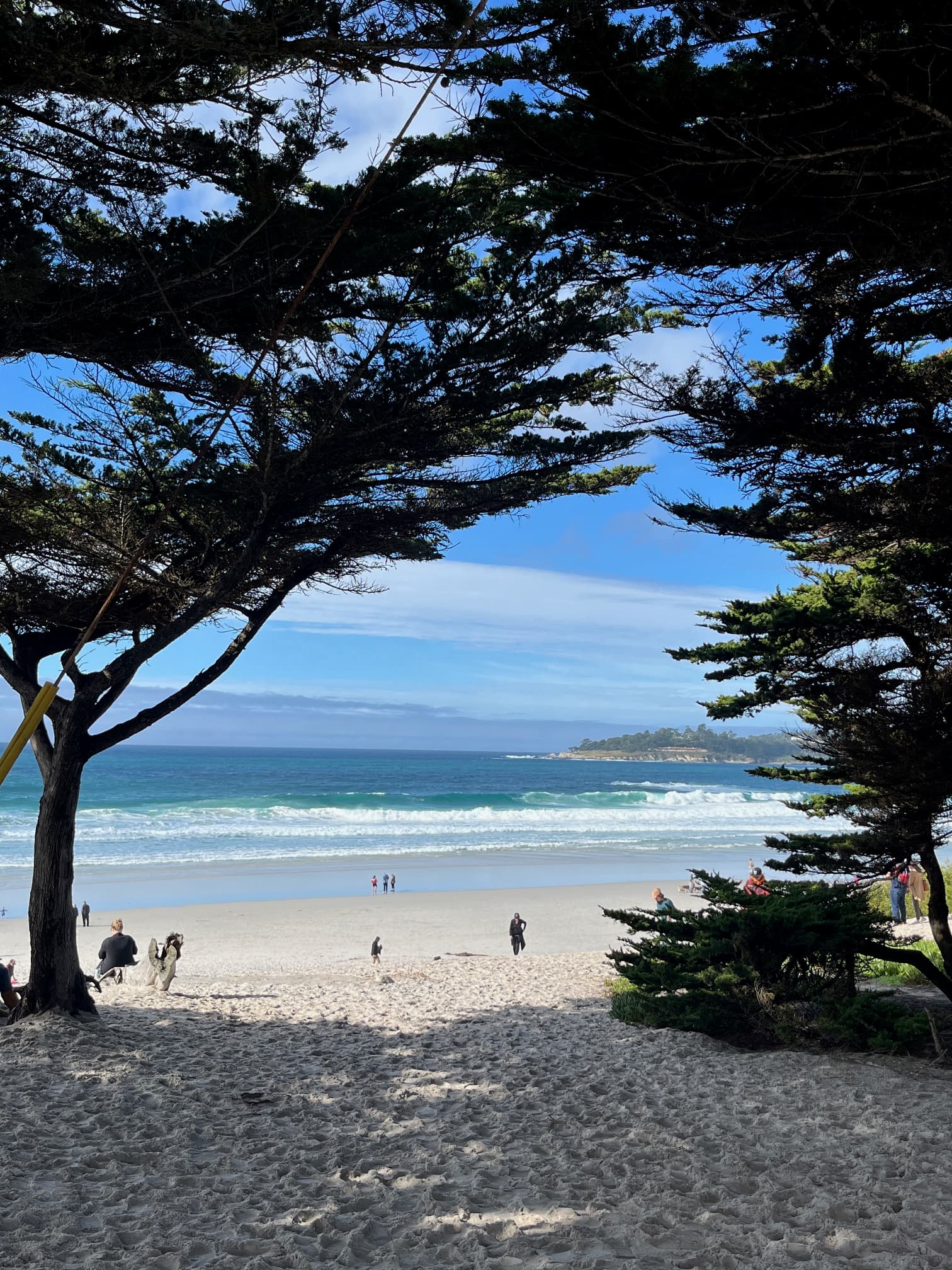 A beautiful view of trees, a sandy path, the beach and the sea in the distance. There are some people lounging on the beach as well.