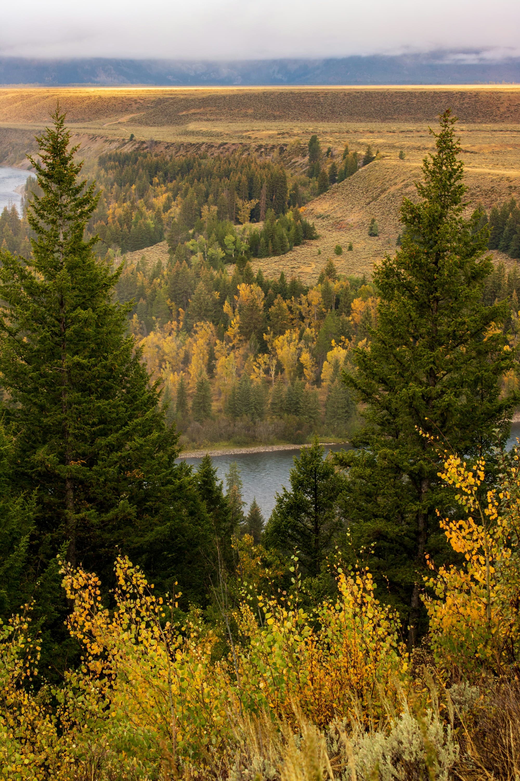 A scenic view of a lake surrounded by trees during the daytime.
