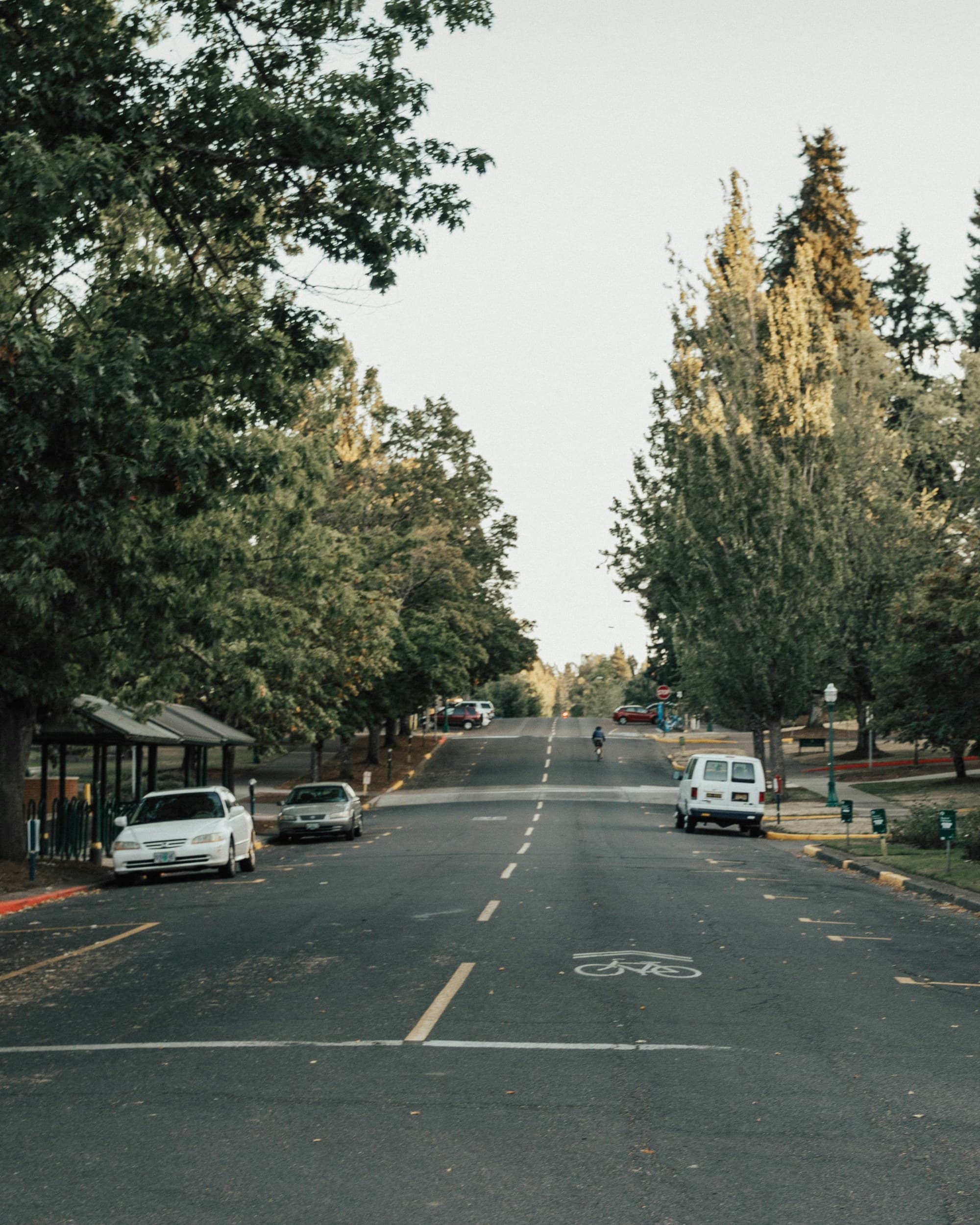 A neighborhood road with parked cars and large trees.
