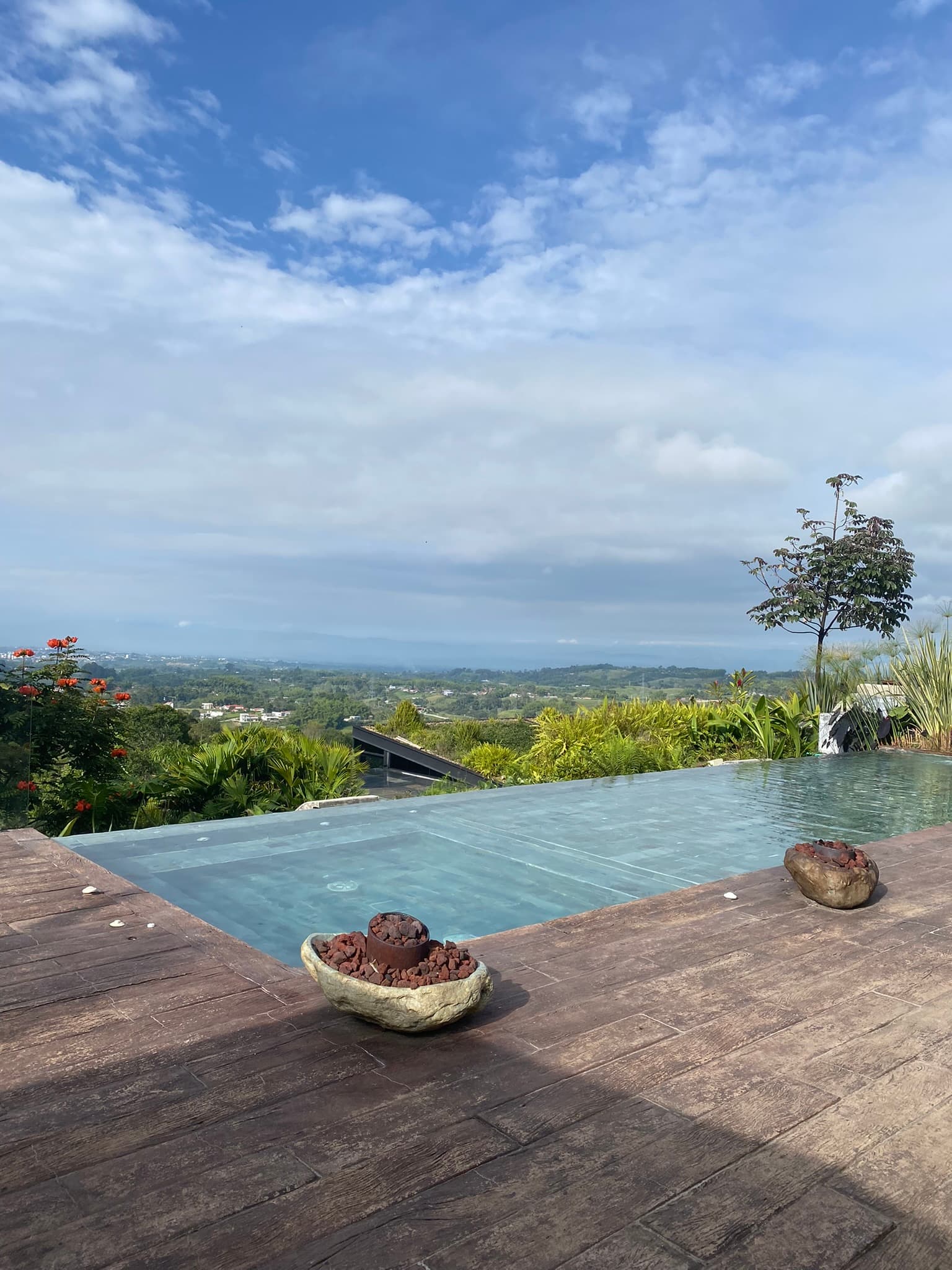 view from a hotel infinity pool across vast green land on the ocean