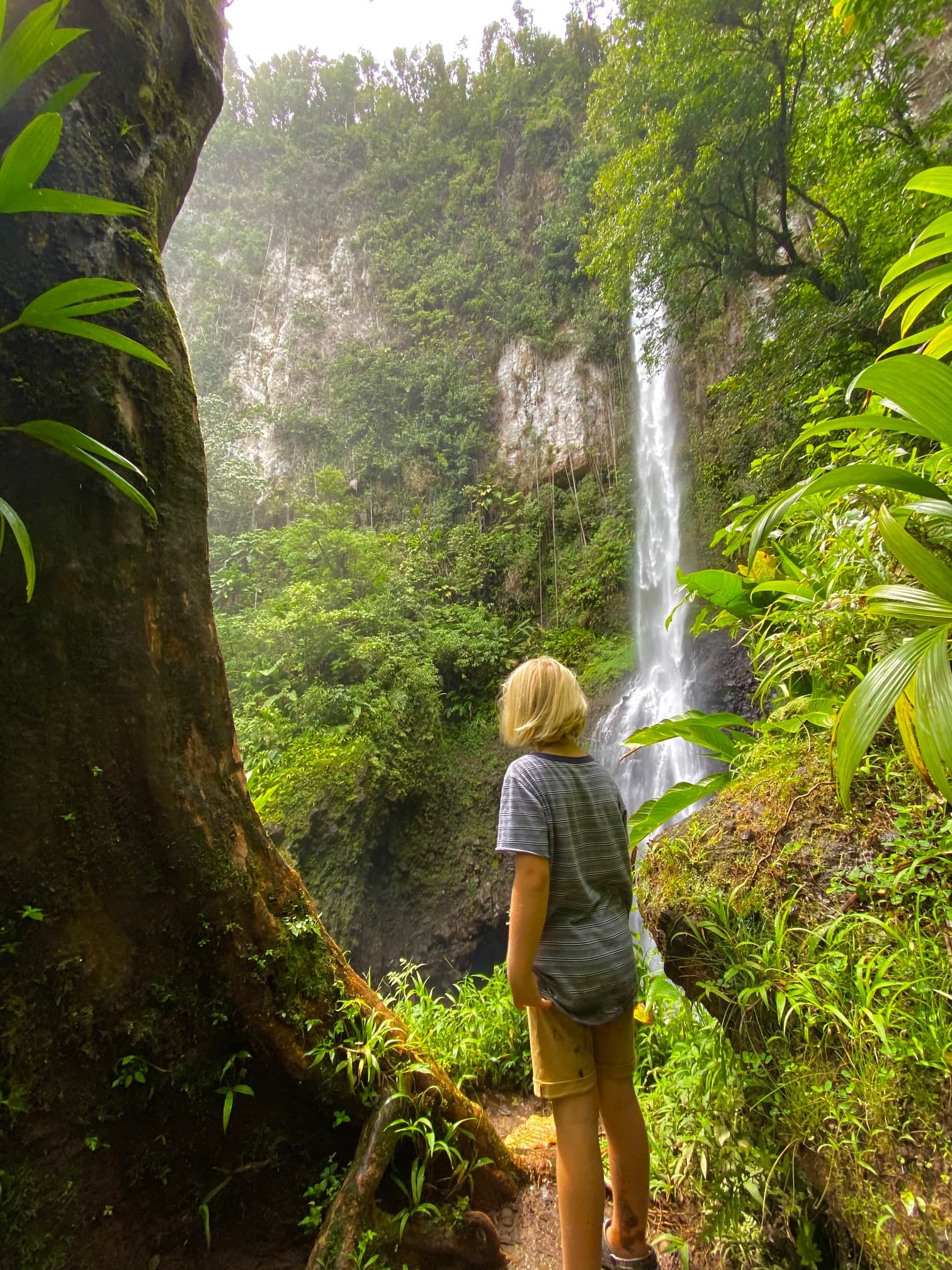 woman standing next to tree with waterfall in background during daytime
