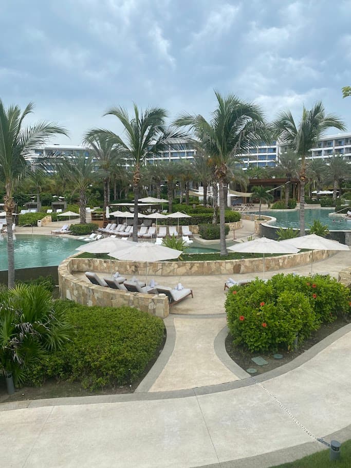 An outdoor swimming pool area surrounded by palm trees during the daytime