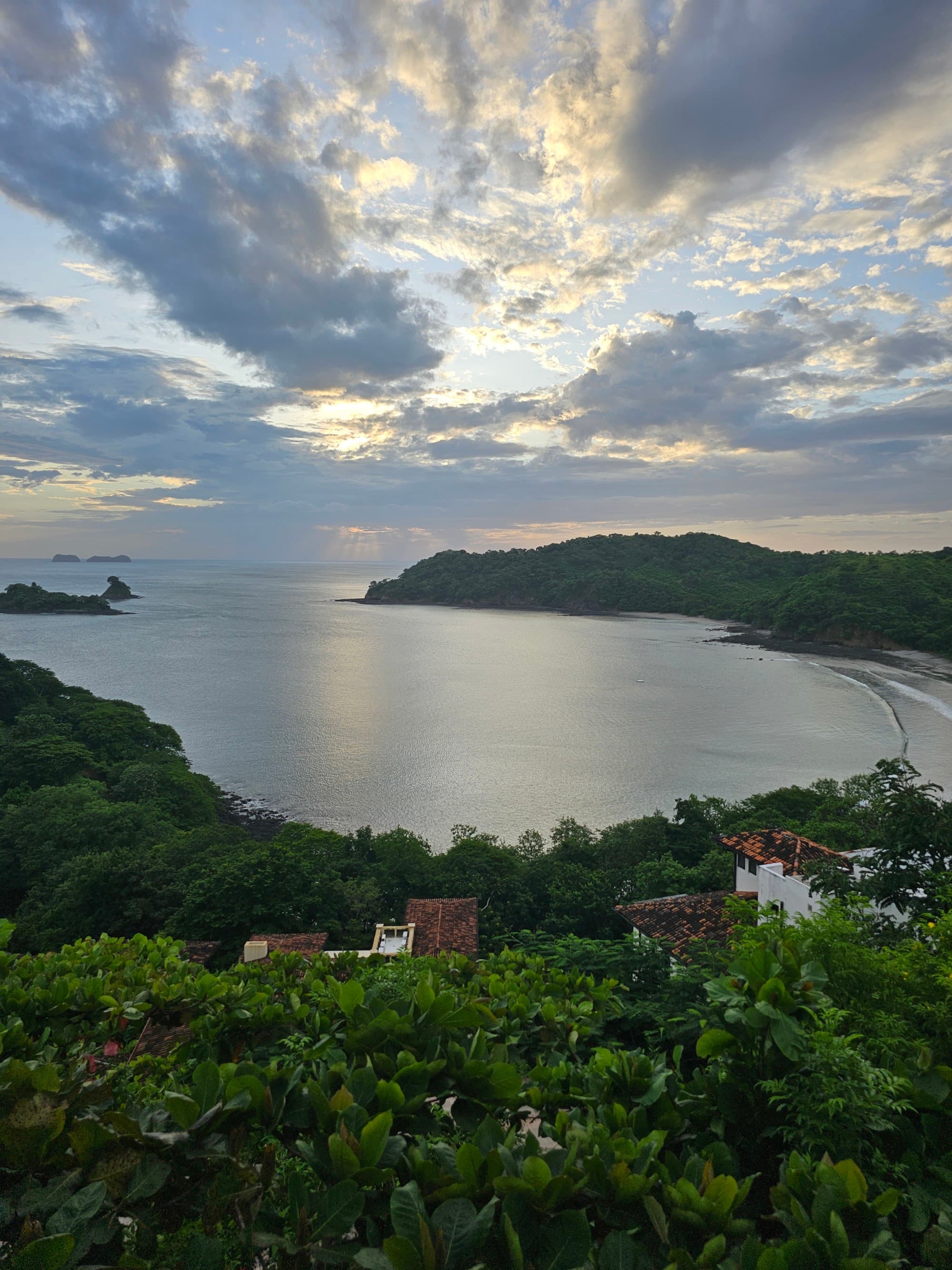 A lunch green forest surrounding a sea peninsula
