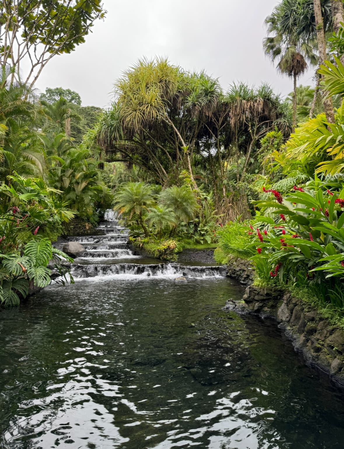 Tabacon Natural Hot Springs run along a creek surrounded by lush greenery on a cloudy day.
