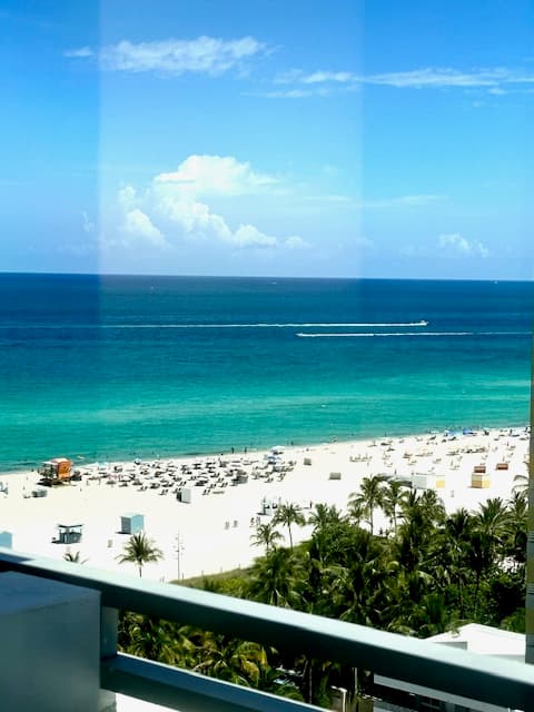 Beach and palm trees viewed from a hotel room.