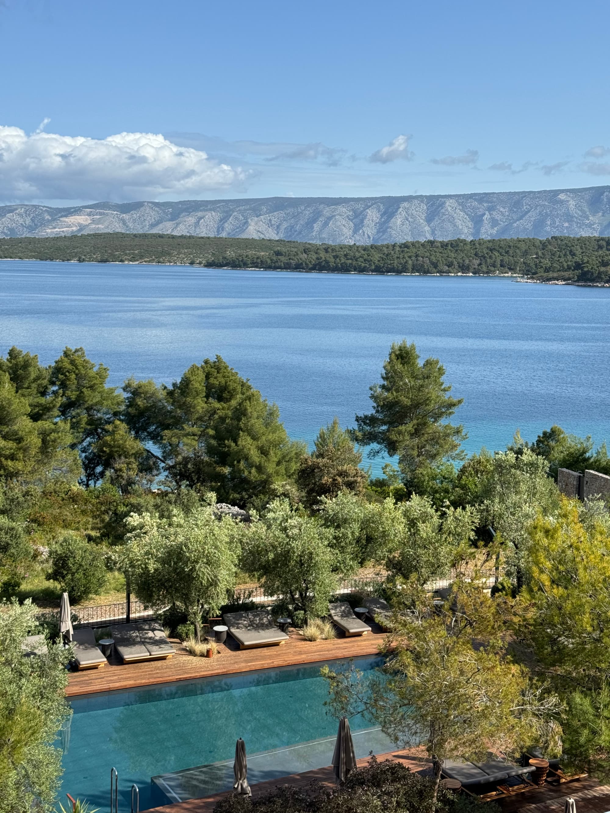 View of the pool with crystal clear coastline waters extending beyond a line of tress on a clear day.