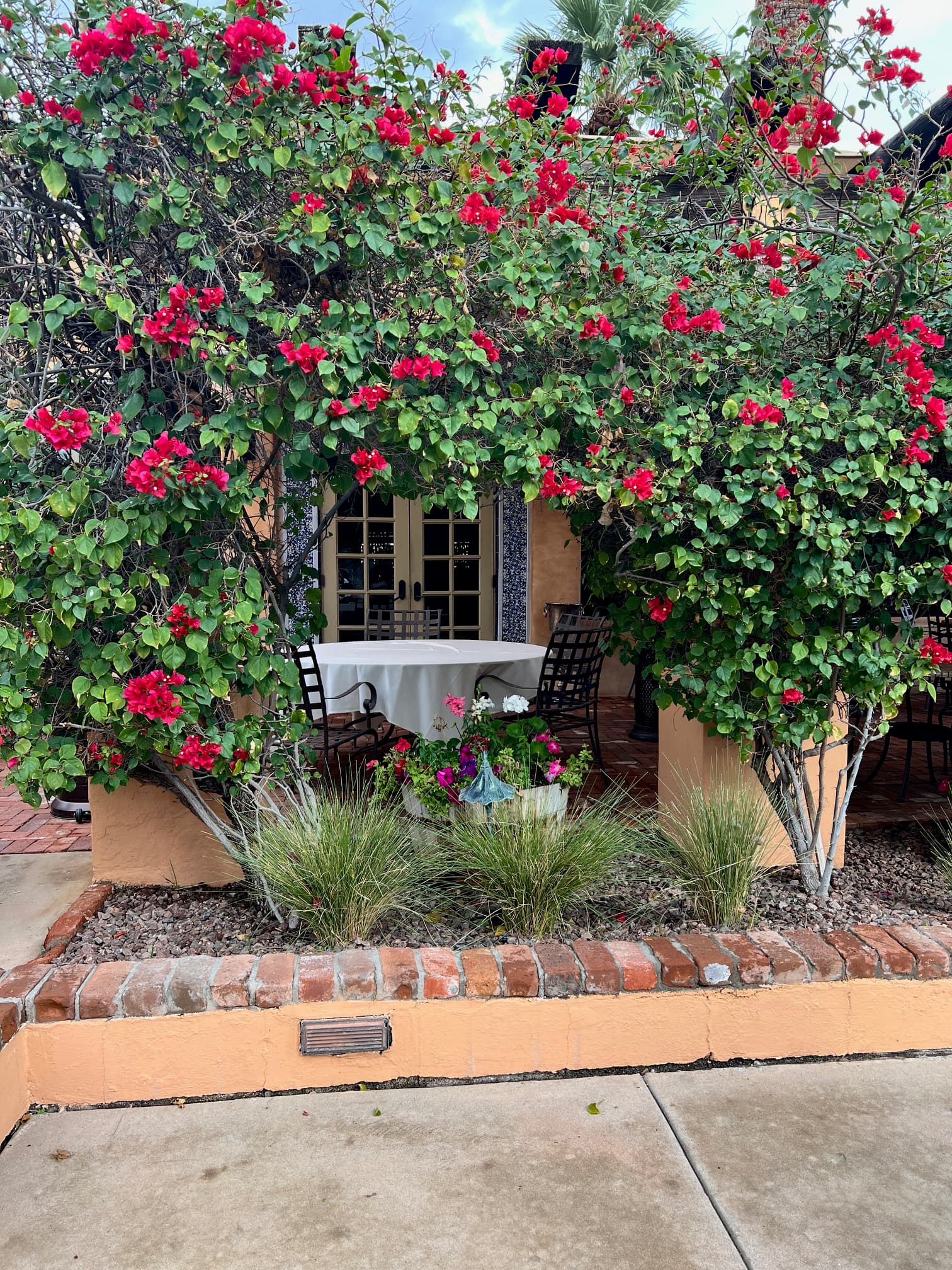Beautiful red flowers growing on the exterior of a building at Royal Palms