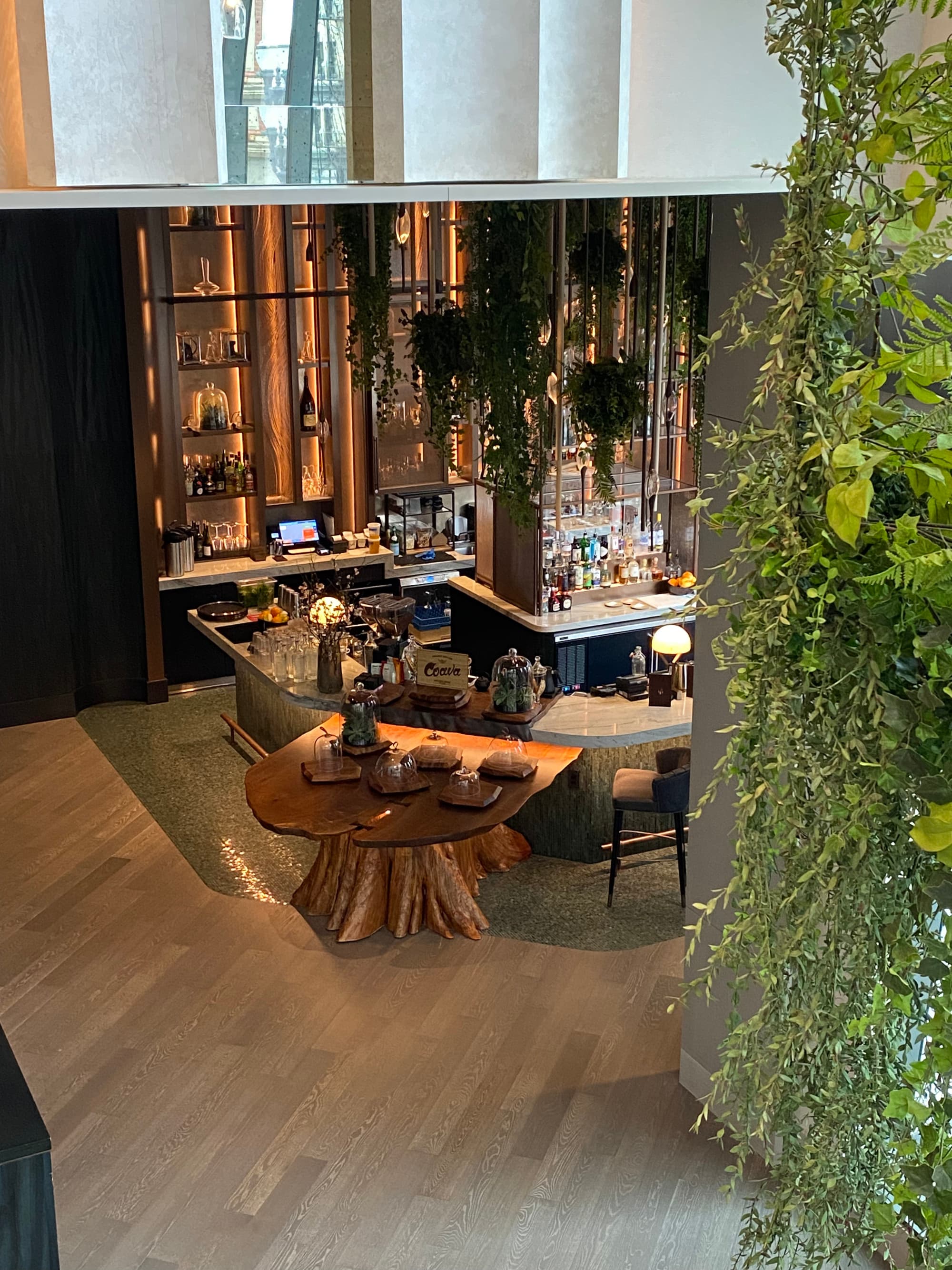 A hotel bar with decorative lighting, a wooden table and green plants.