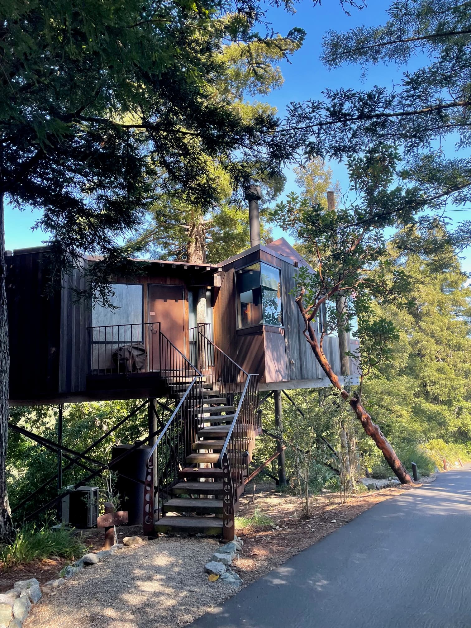 Treehouse - Ariann Bernstein