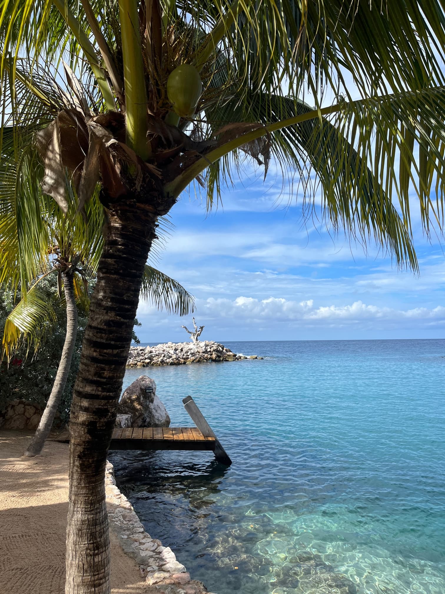 A body of water during a sunny day with palm trees