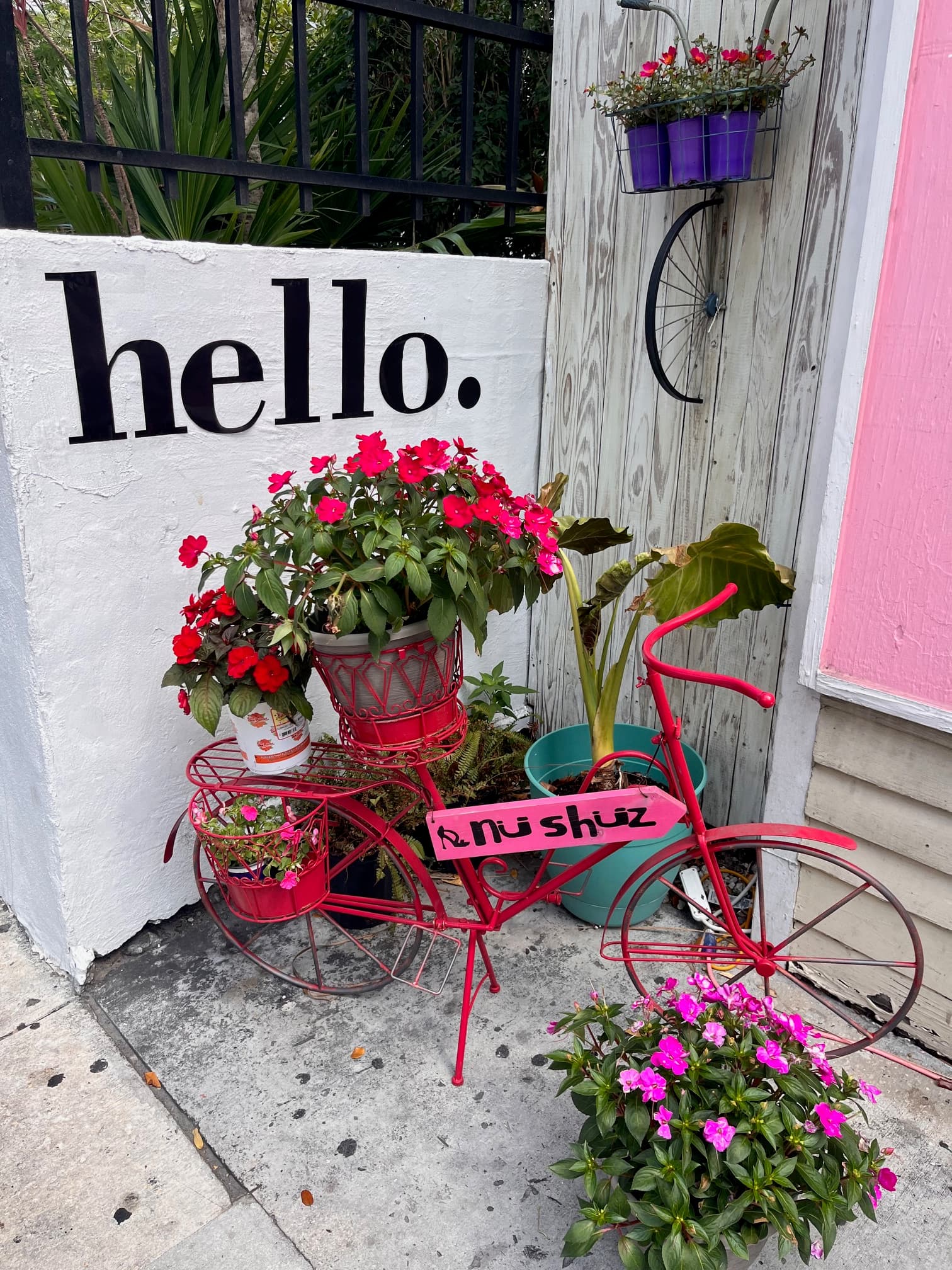 Photo of a pink bike and flowers in front of a white wall with "hello" painted on