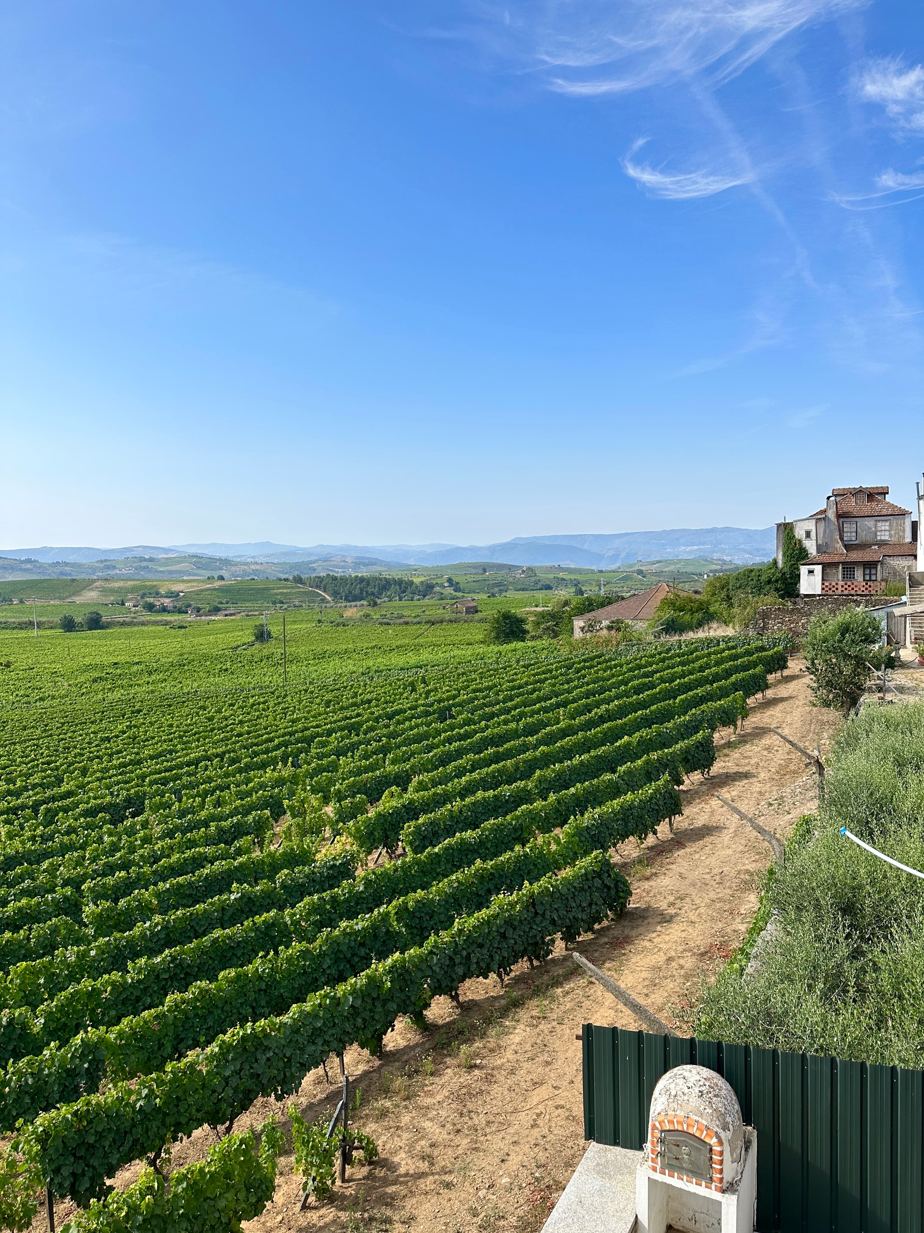 Favaios viking cruise