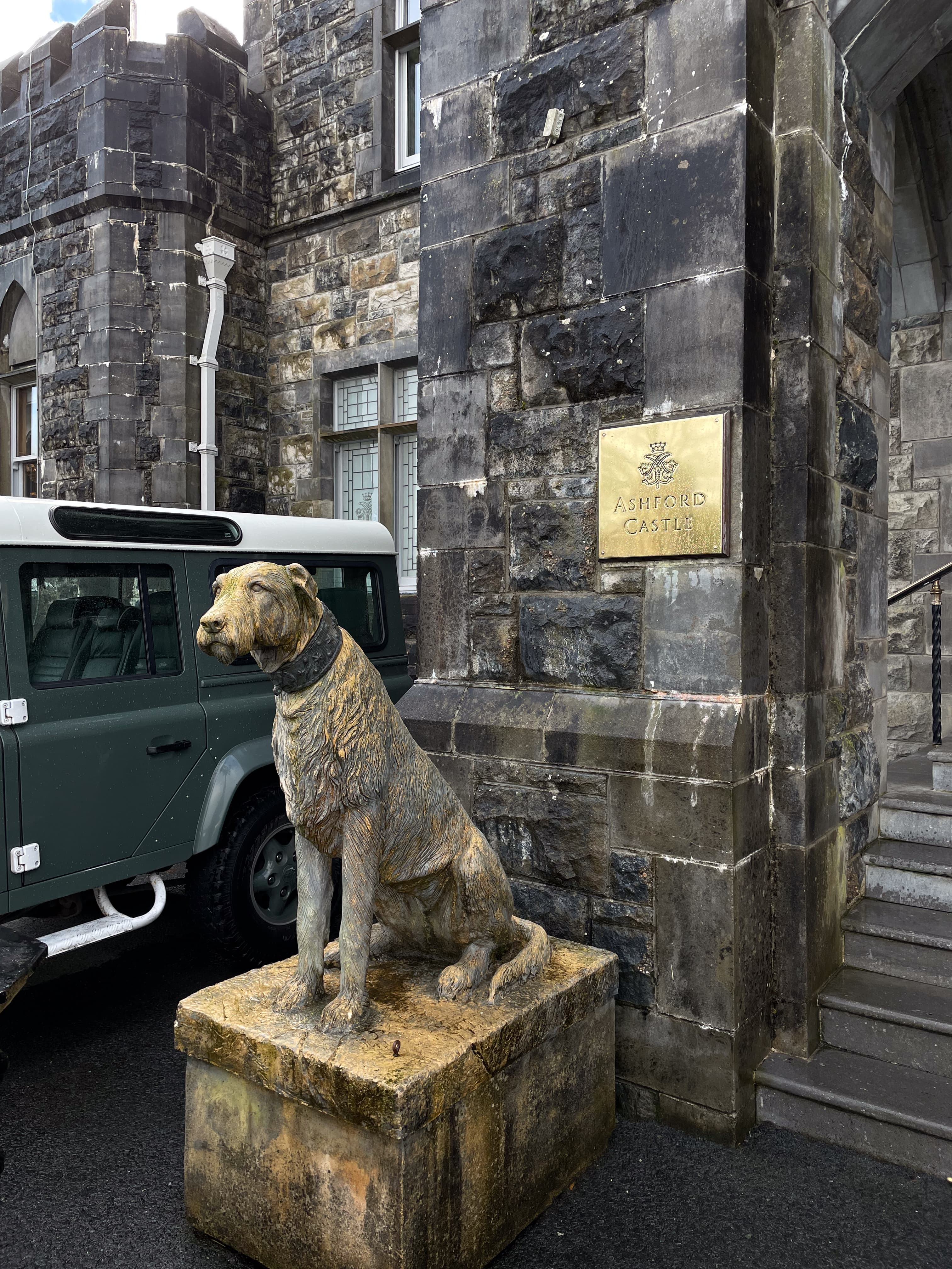 View of a dog statue