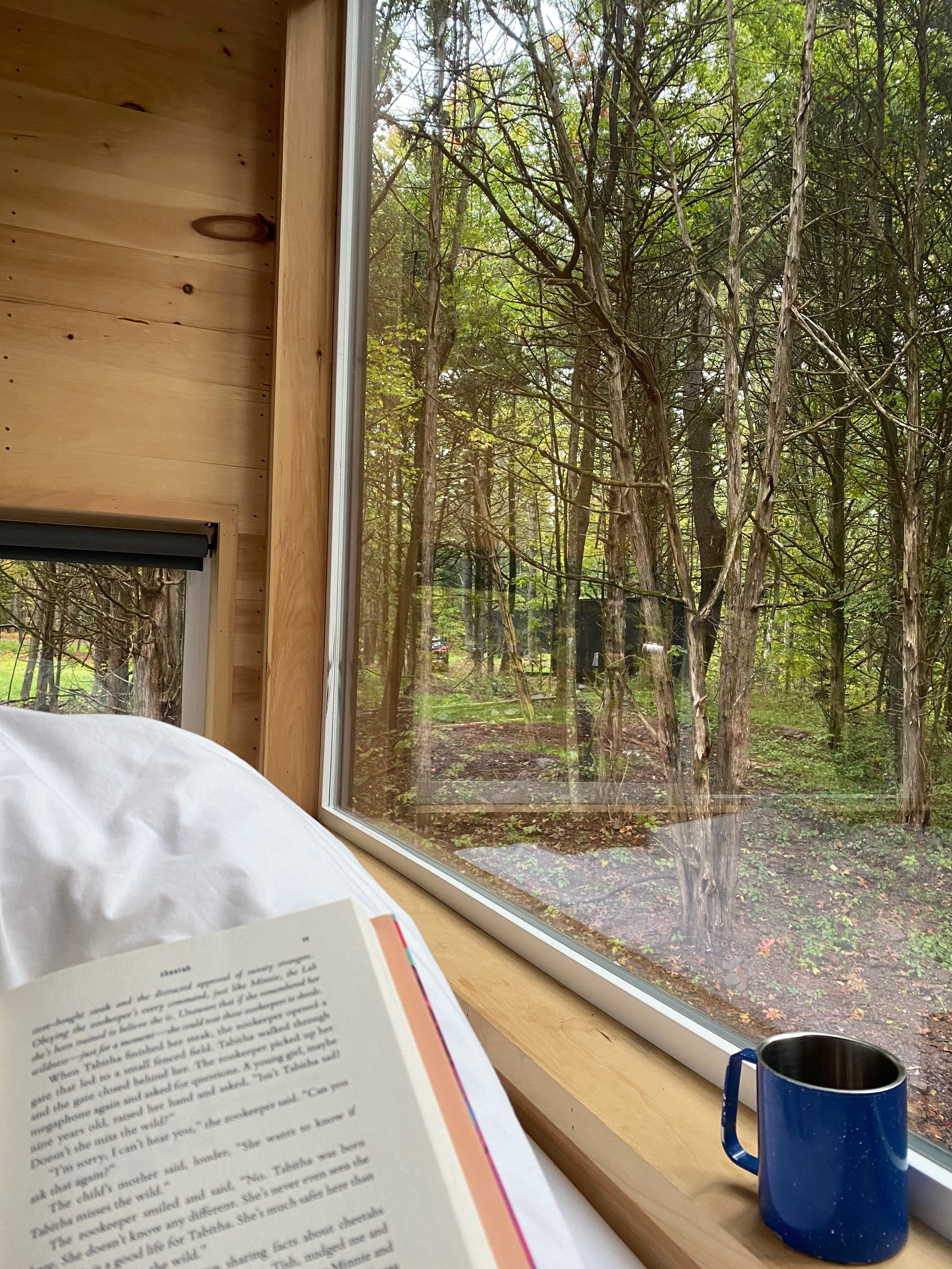 book with a view