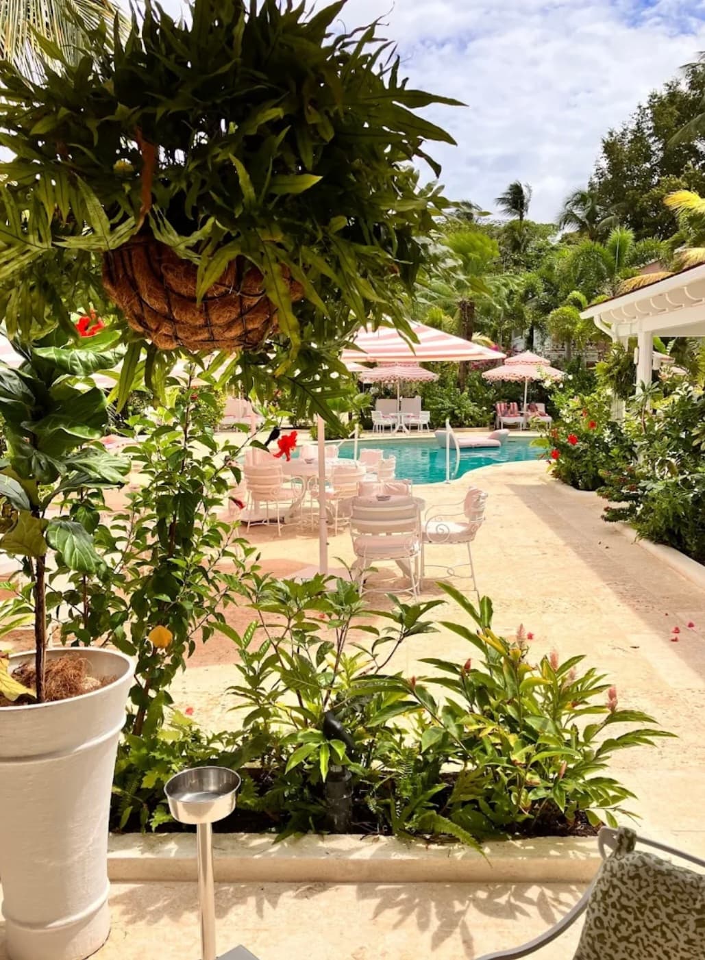 Outside view of Cobblers Cove