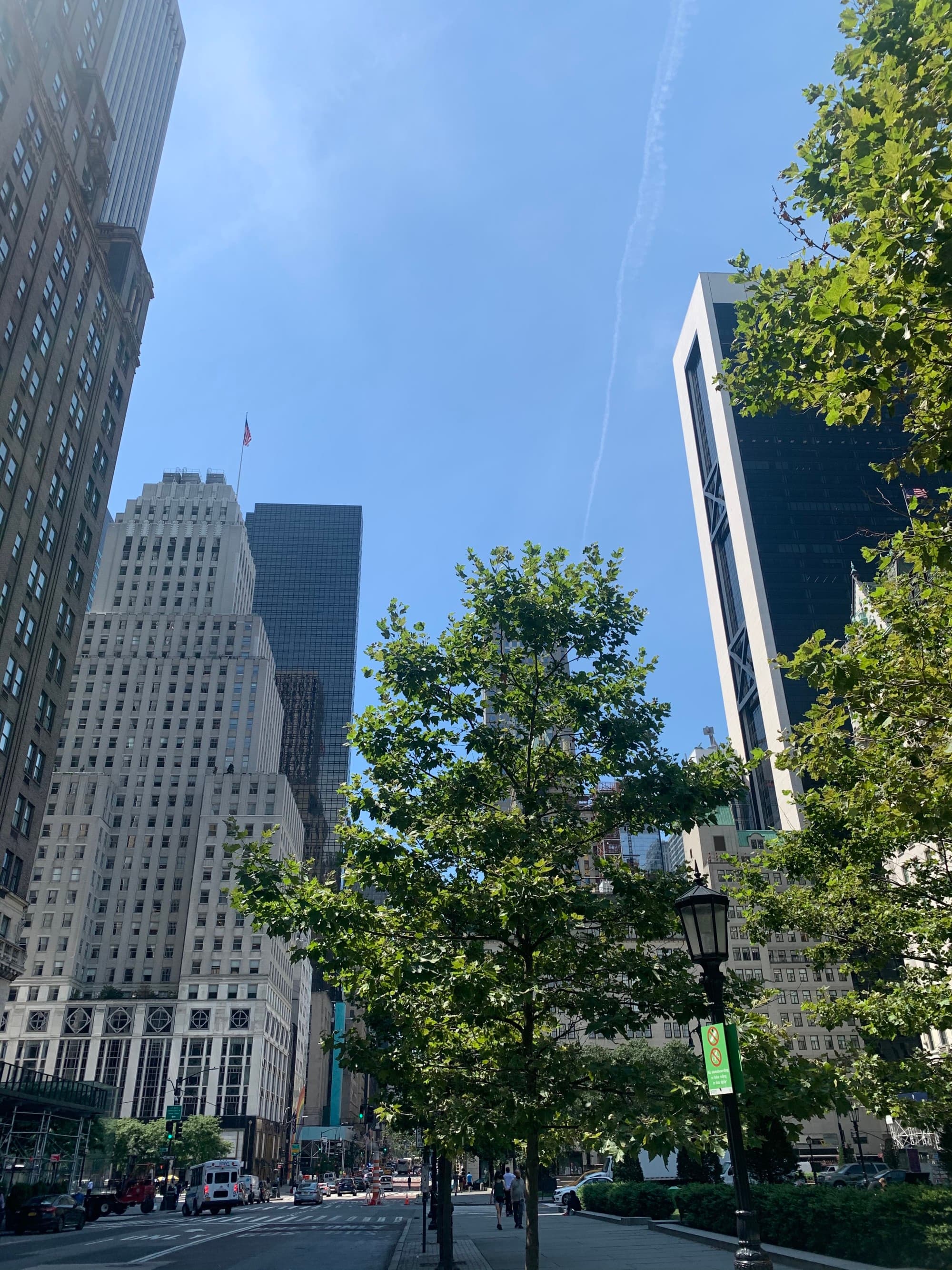 UES NYC - Danielle Feder