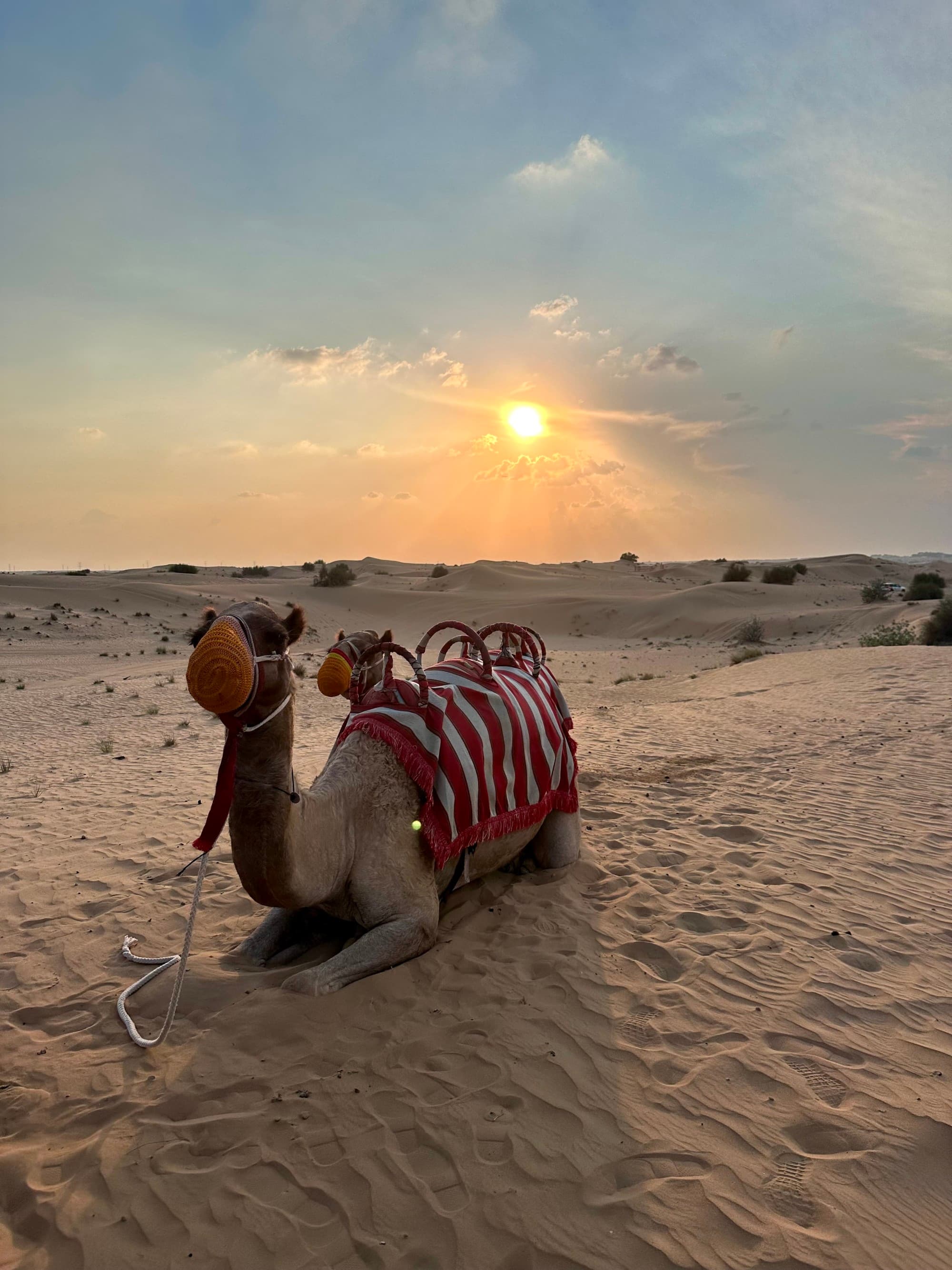 Camel Bedouin Camp Dubai - Jennifer Lopez