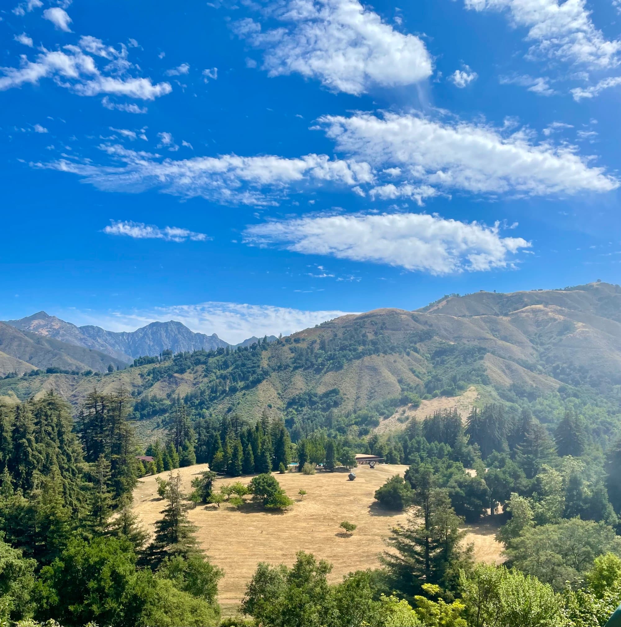 Mountain View - Ariann Bernstein