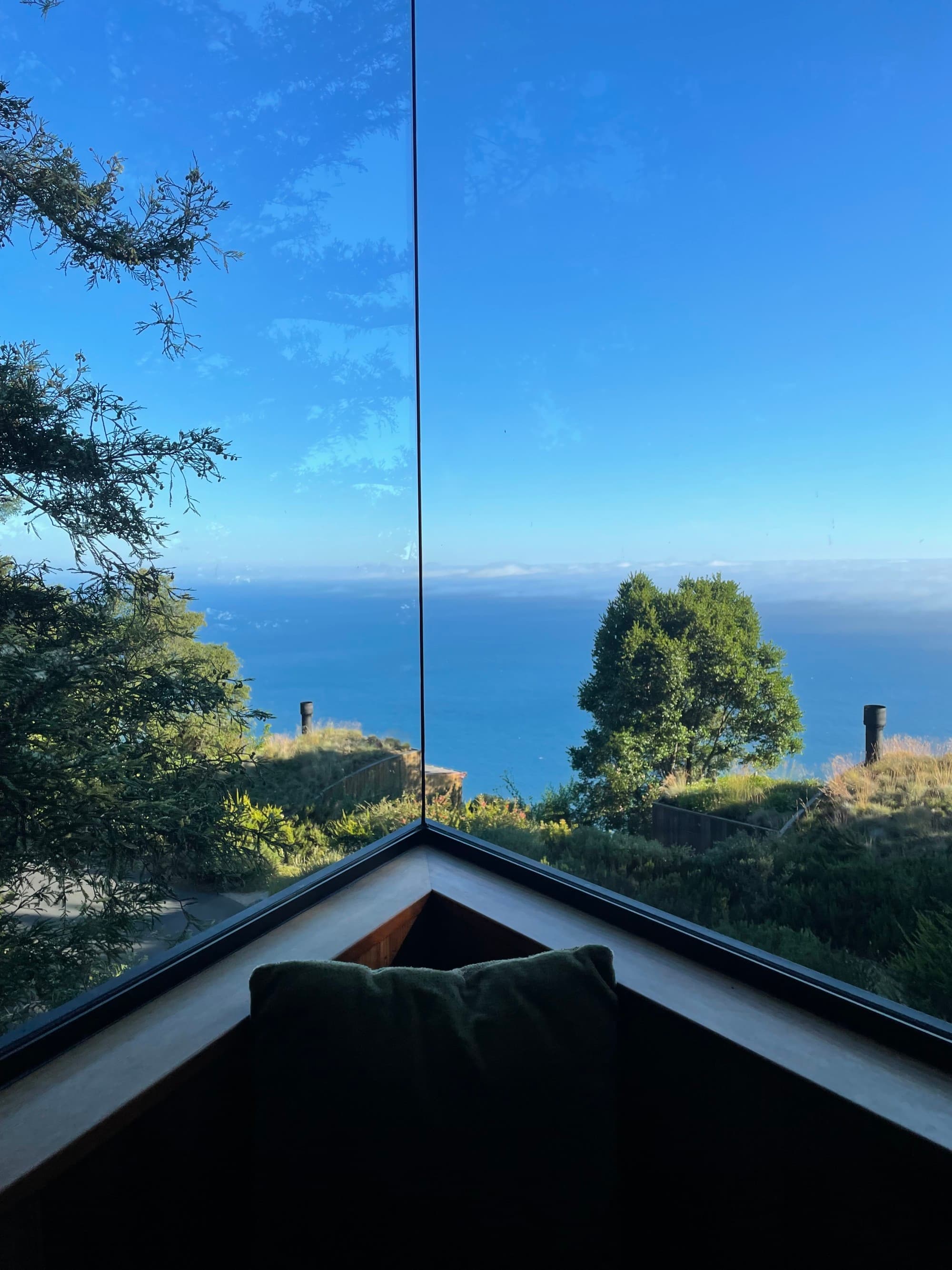 View from Treehouse - Ariann Bernstein