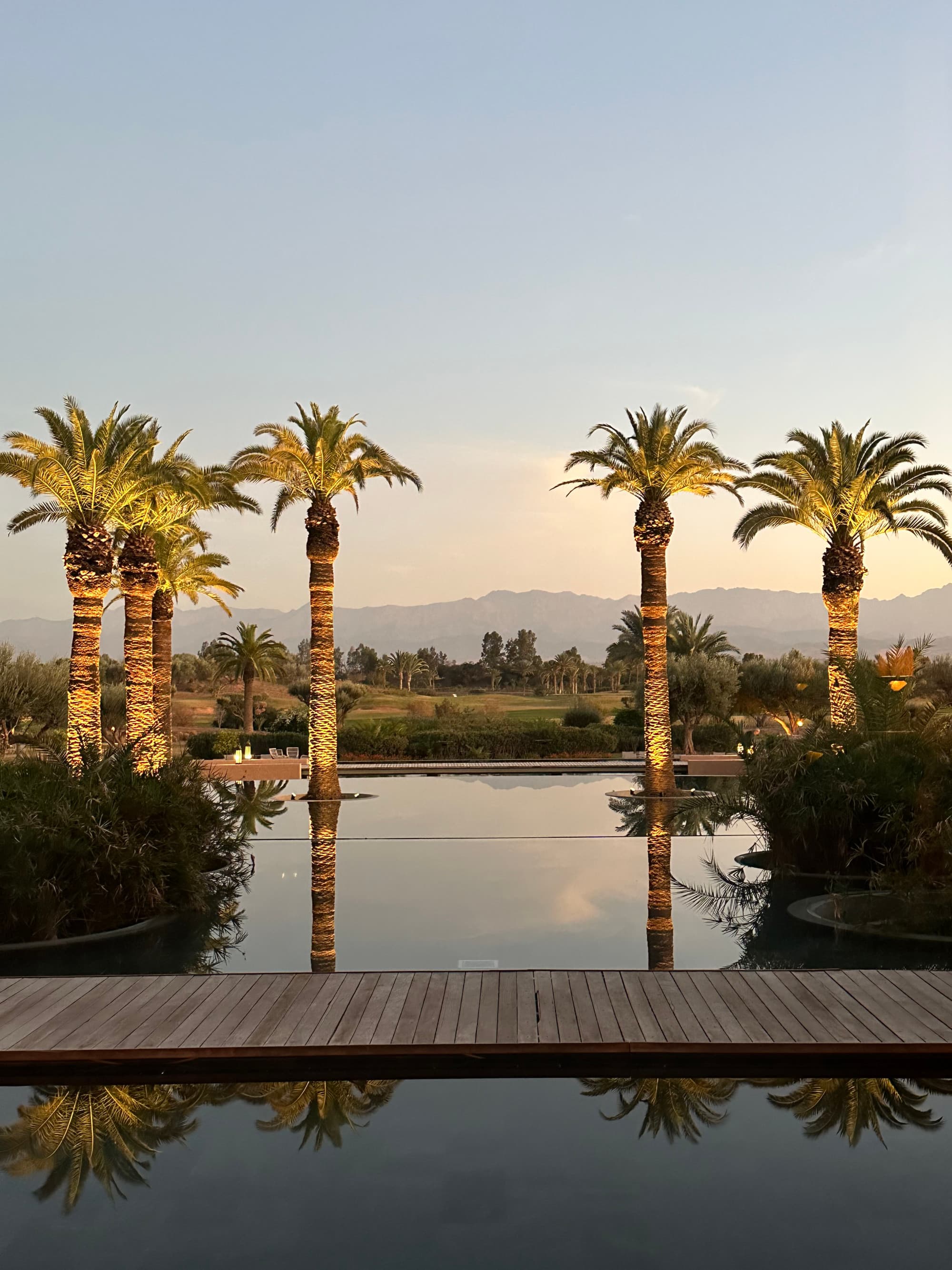 Palm trees by a swimming pool during the daytime