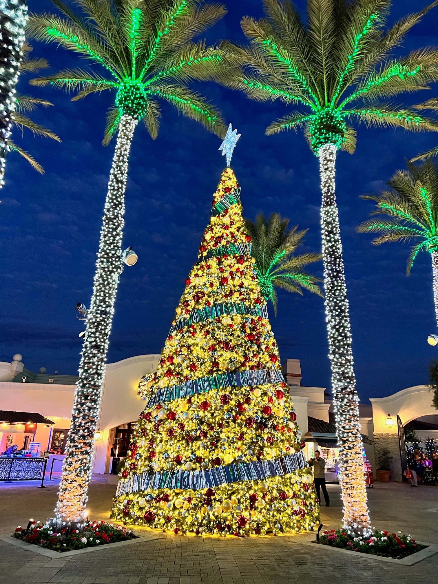 A lit up Christmas tree with palm trees on a beautiful evening
