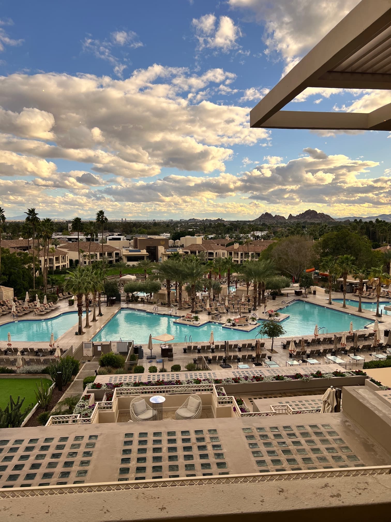 The beautiful pool deck at dusk on a sunny day with loungers and palm trees