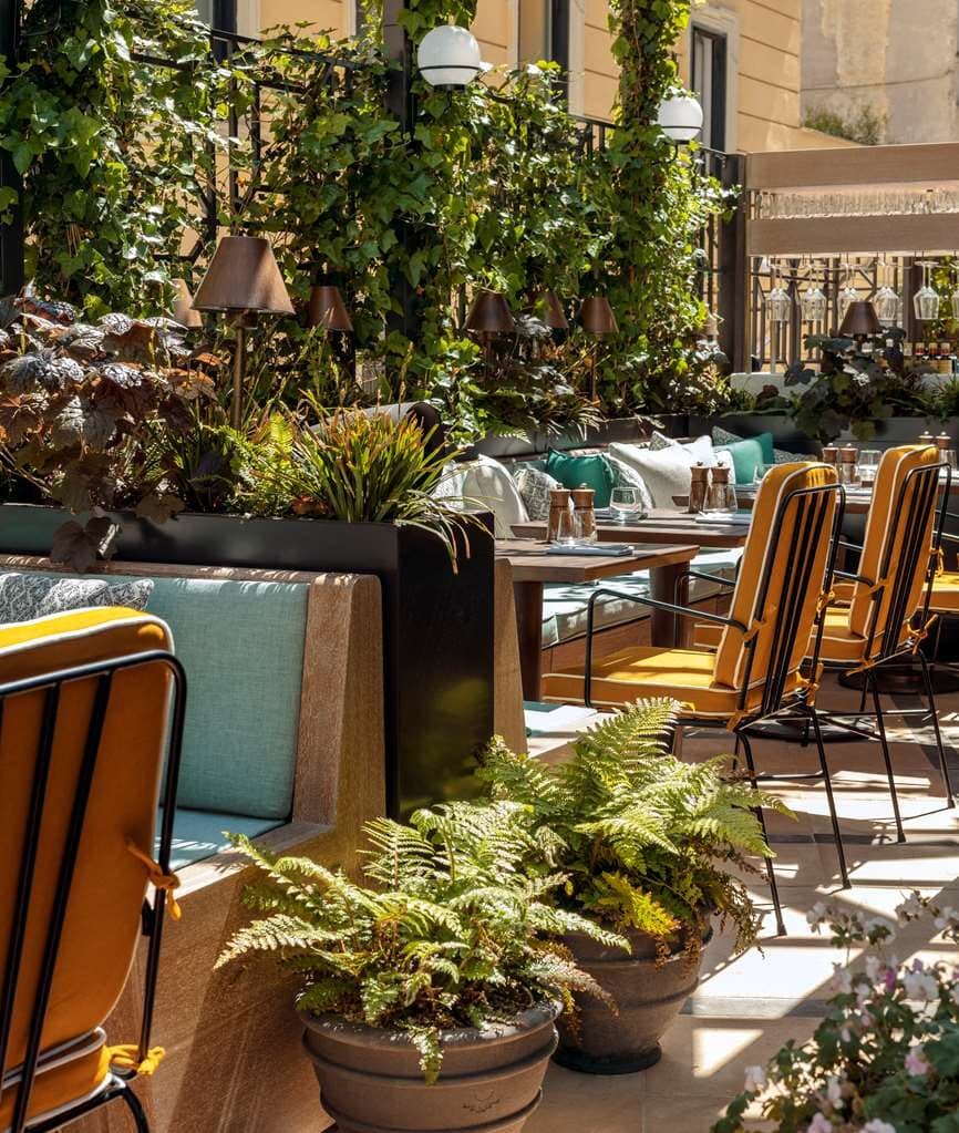 tables and yellow chairs in a leafy outdoor courtyard