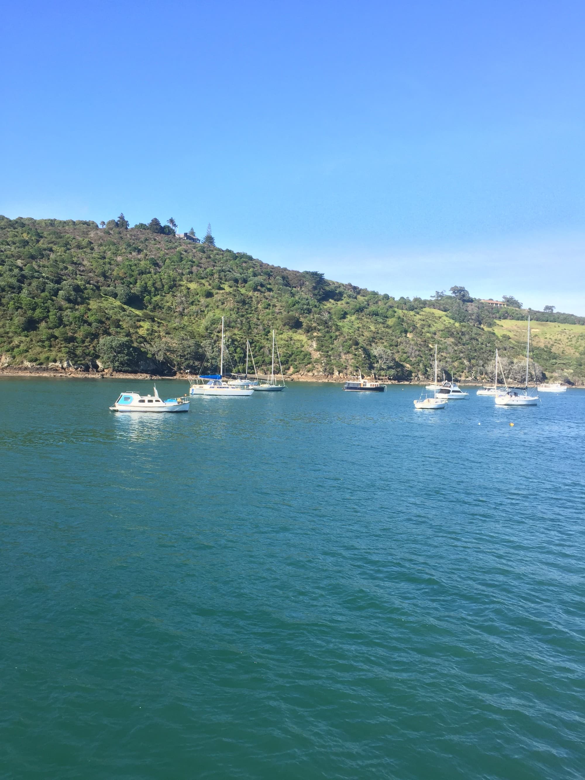 Water with sailboats and green hills in the background.