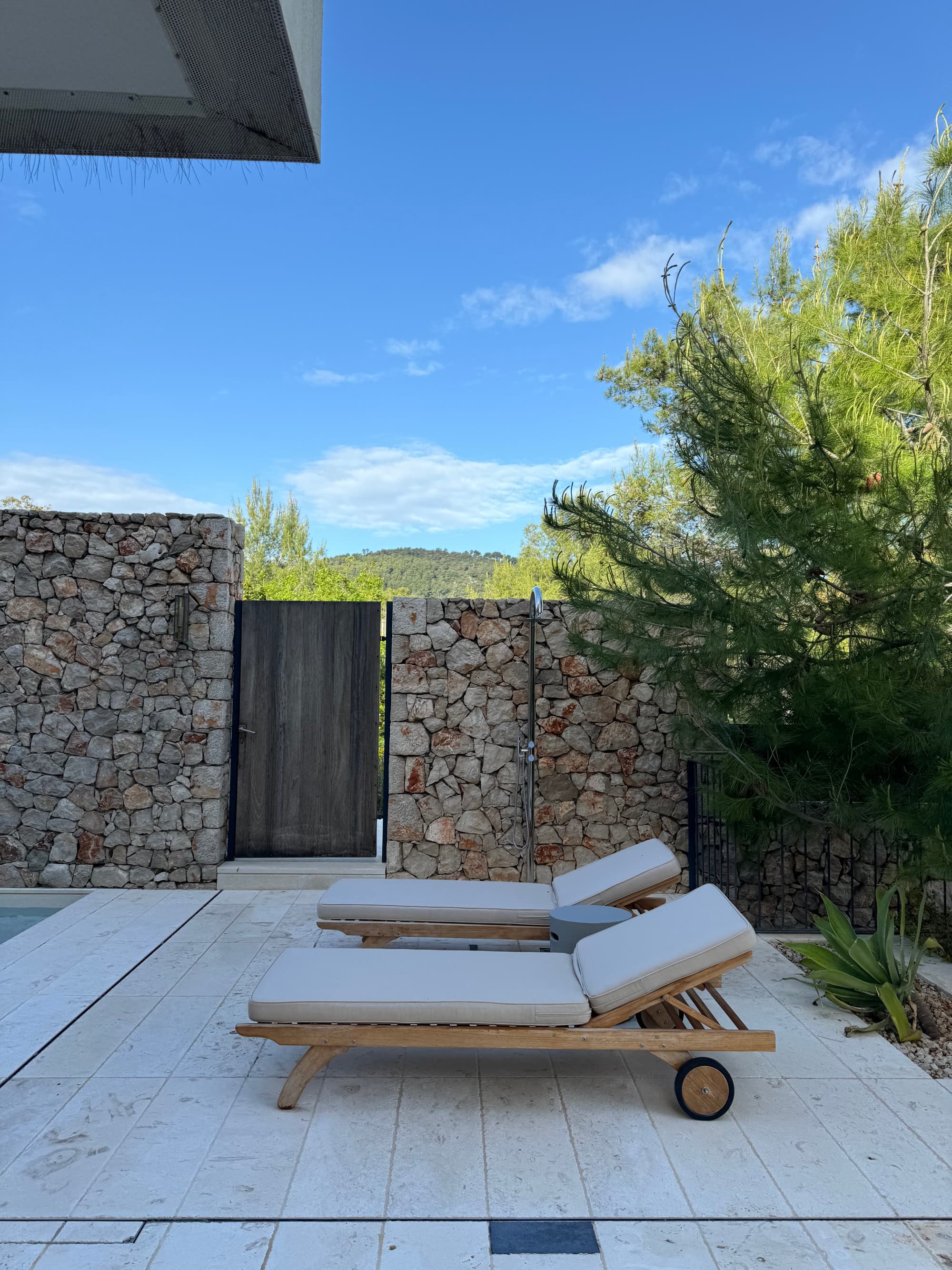 Pool loungers sit in the shade of a lush tree below a clear sky.