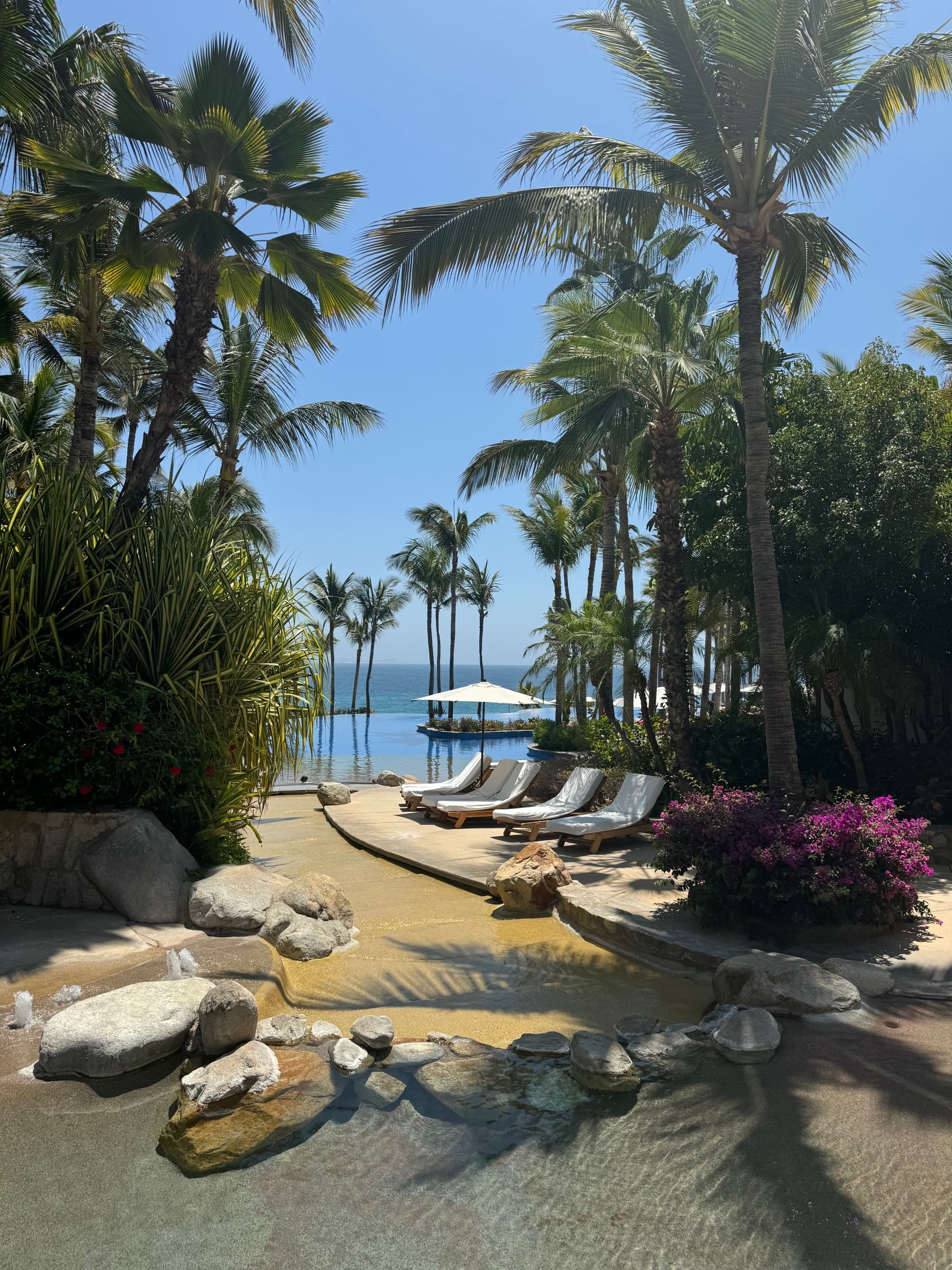 A view of a pond surrounded by palm trees and lounge chairs at a beach in Baja California Sur