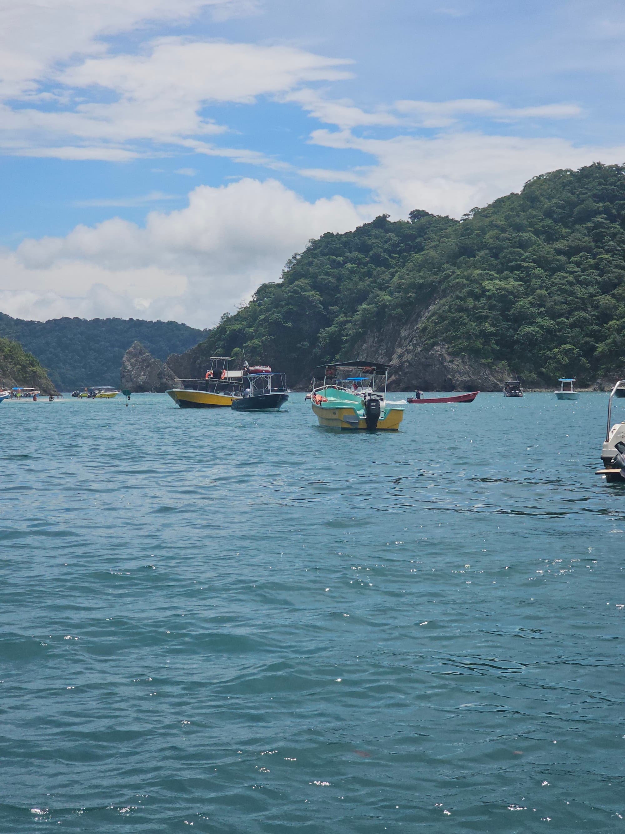Boats on a body of water next to a forest-covered hill during the daytime