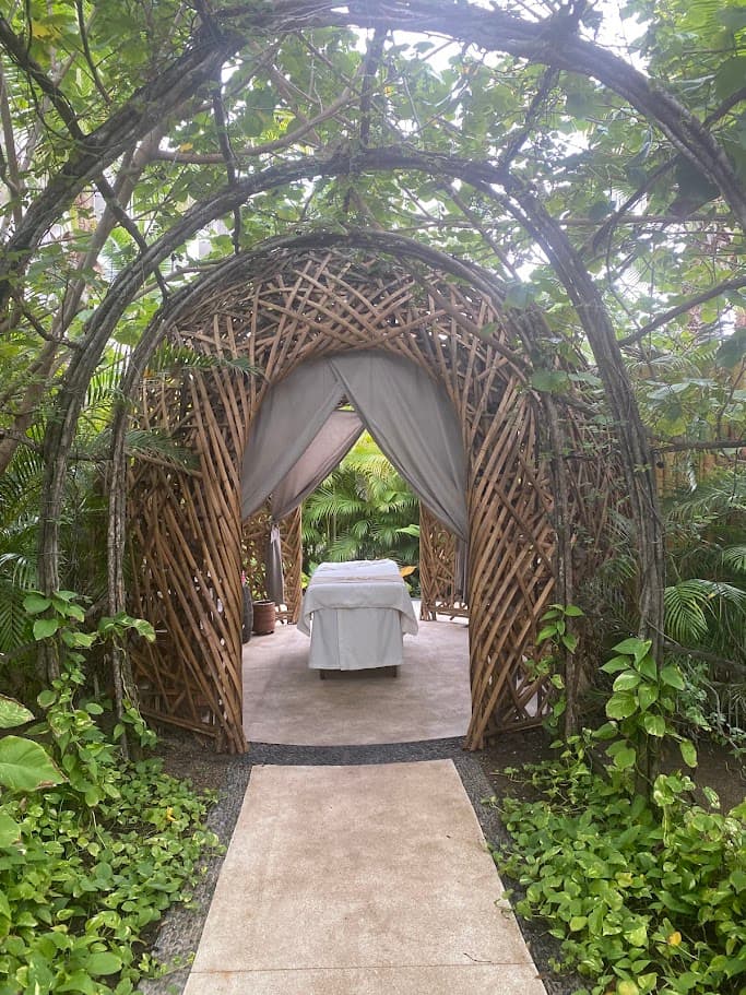 Tree branches intertwined in an artistic way leading to a table in an outdoor area
