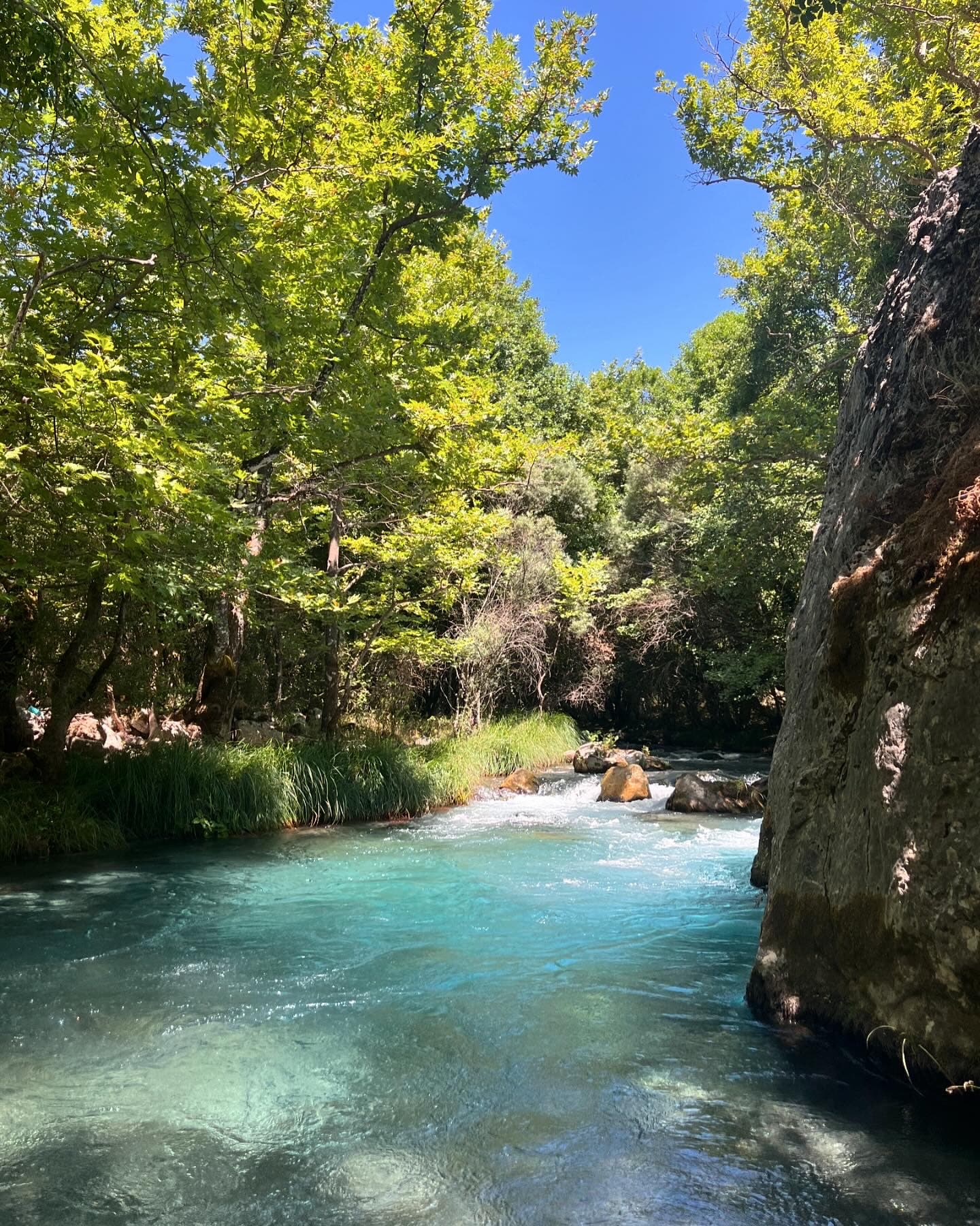 Nature around Manna, Greece