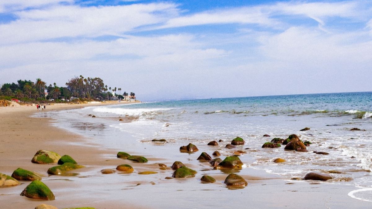 Mossy rocks near the seashore during daytime