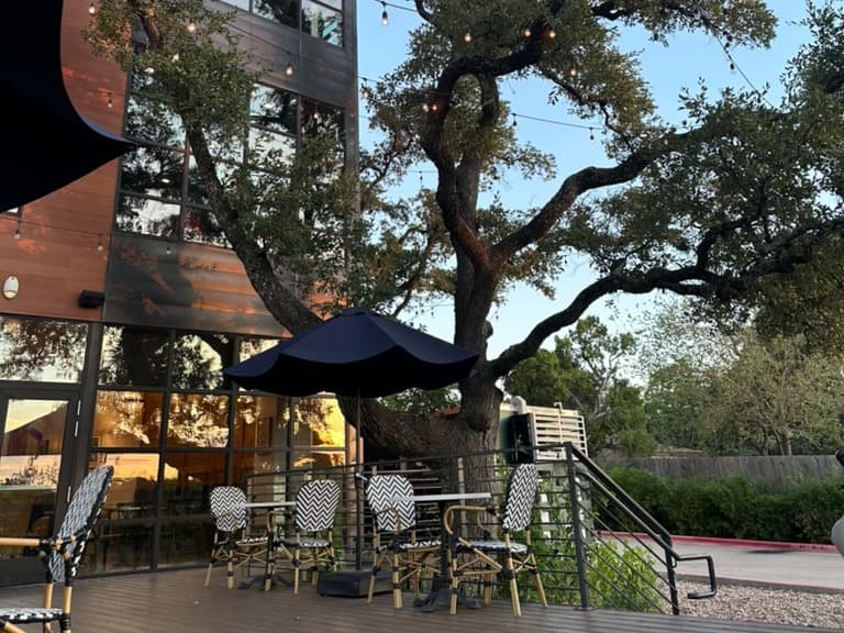 A view of Colton from the patio seating under a large tree with twinkle lights dangling overhead.