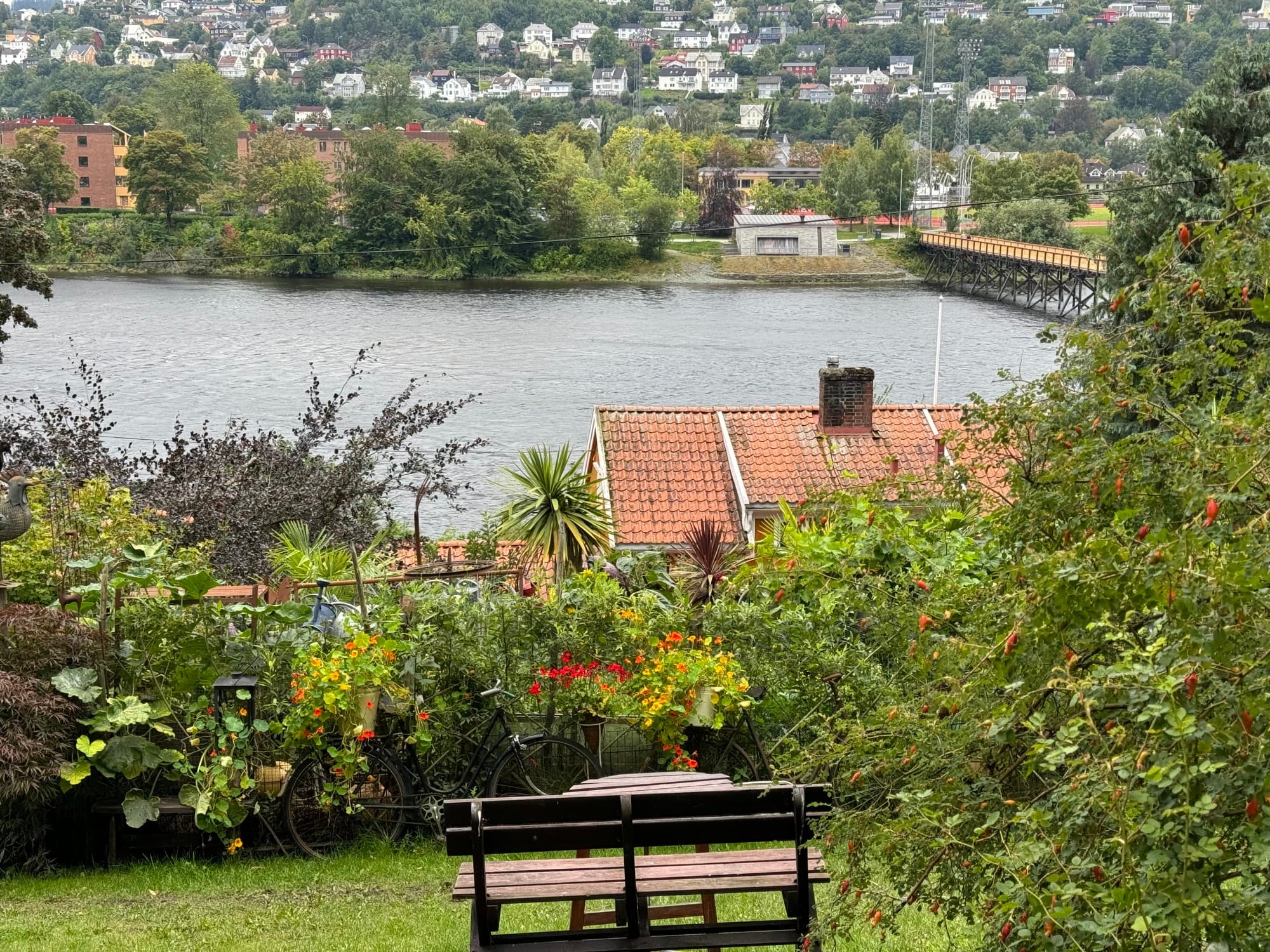 Lake and lakeside view during the daytime