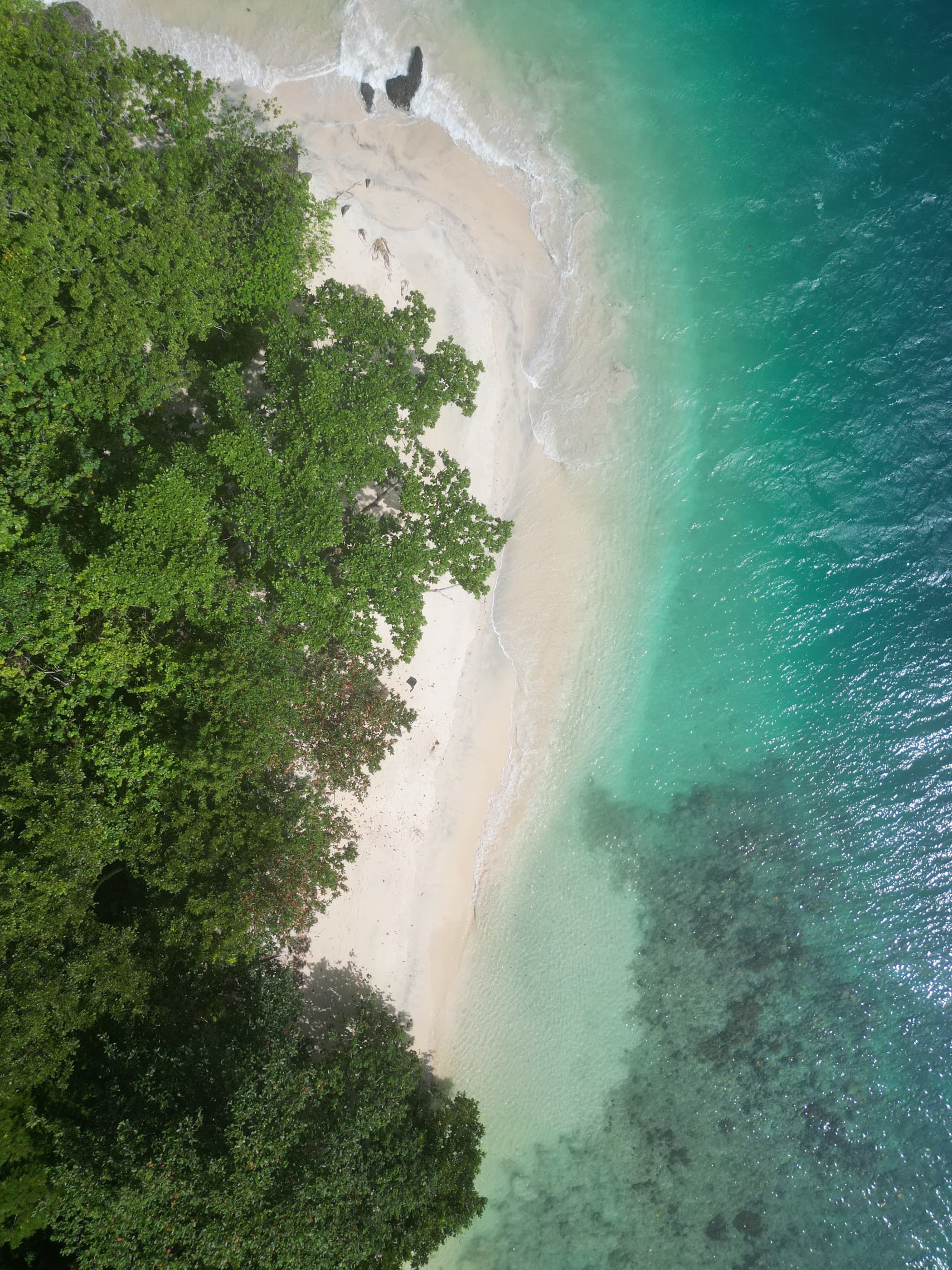 A bird's eye view of crystal-clear waters lapping a white-sand beach amid lush foliage.
