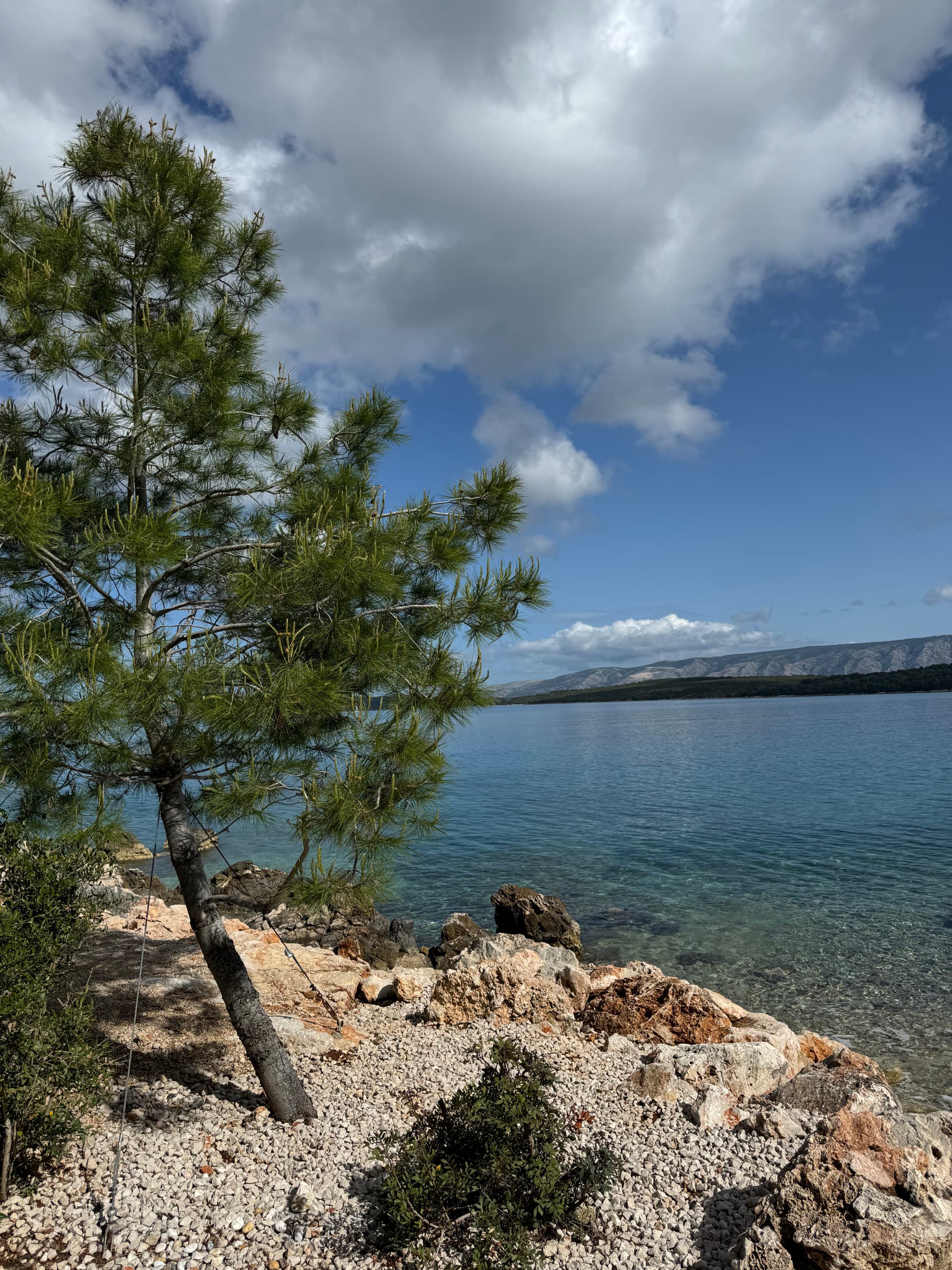 Crystal clear waters along a rocky shore with sparse trees frame the hills in the distance below a cloudy sky.