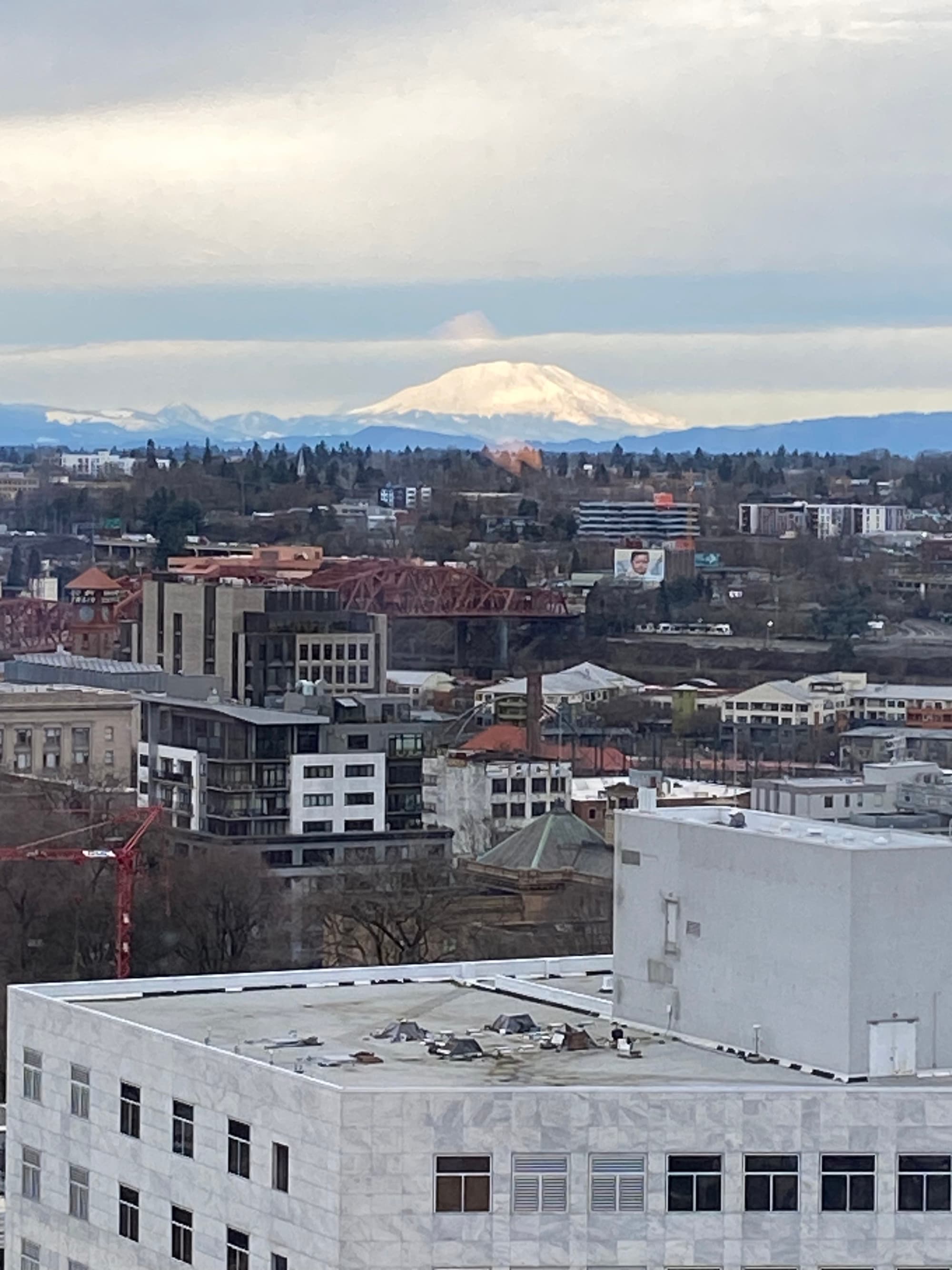 A view of a city with trees and a mountain in the far distance.