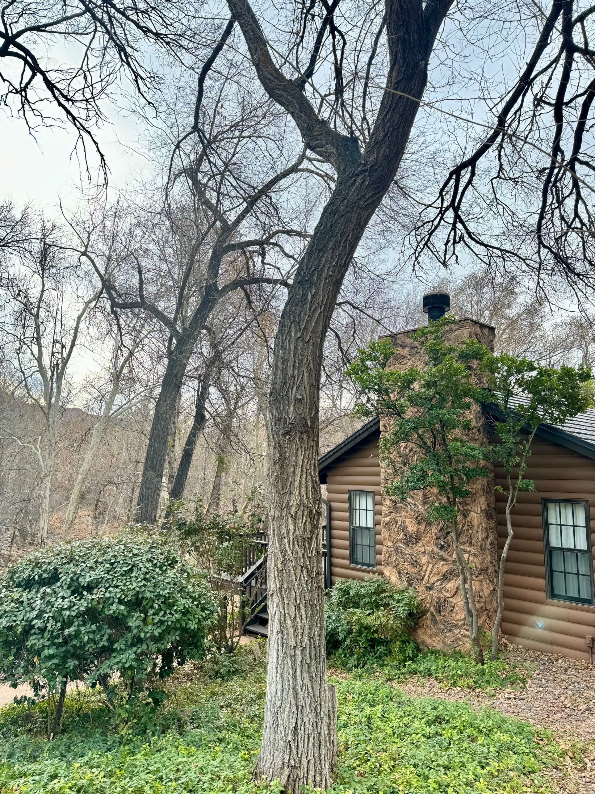 Creek cottage - Chanda Daly